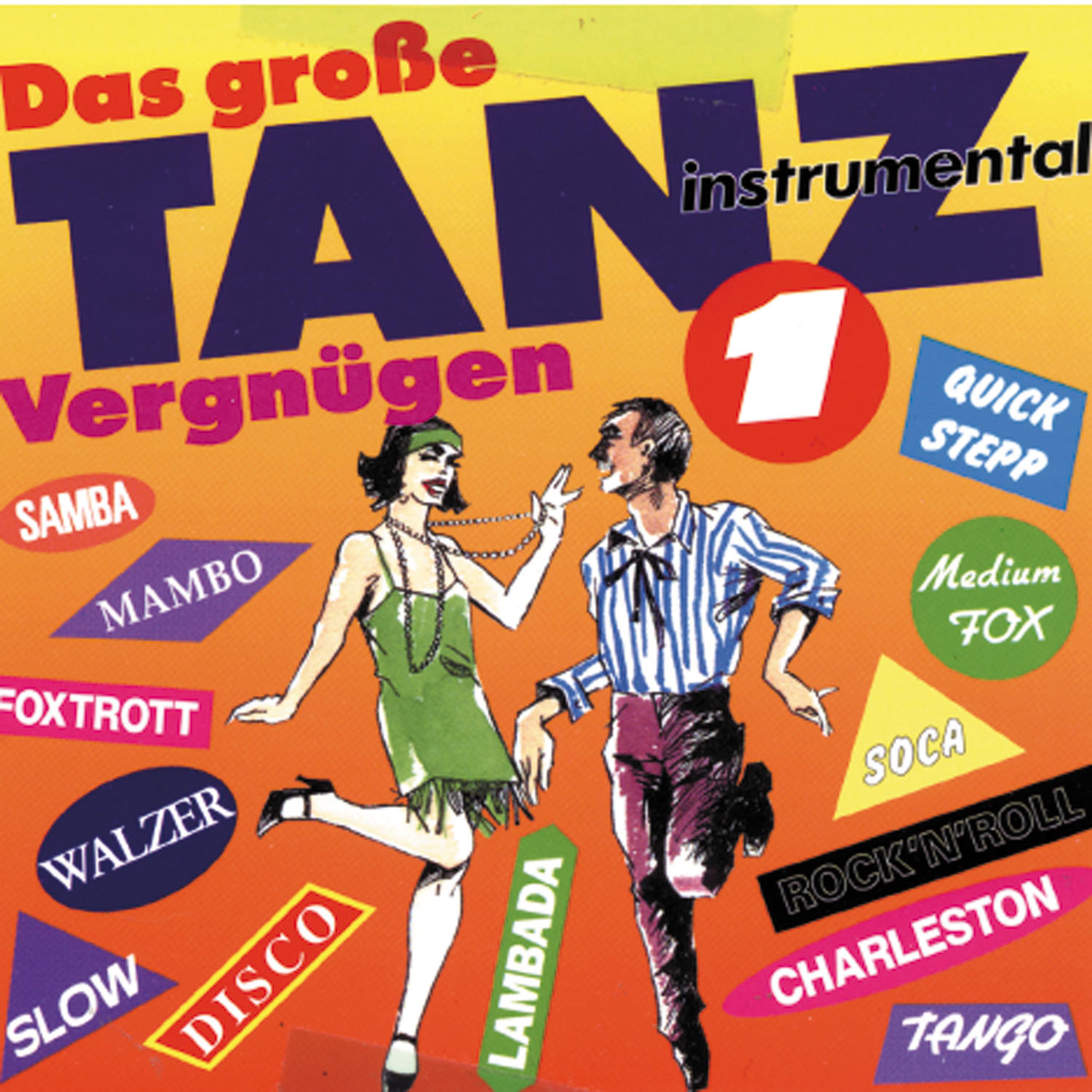 Постер альбома Das große Tanzvergnügen