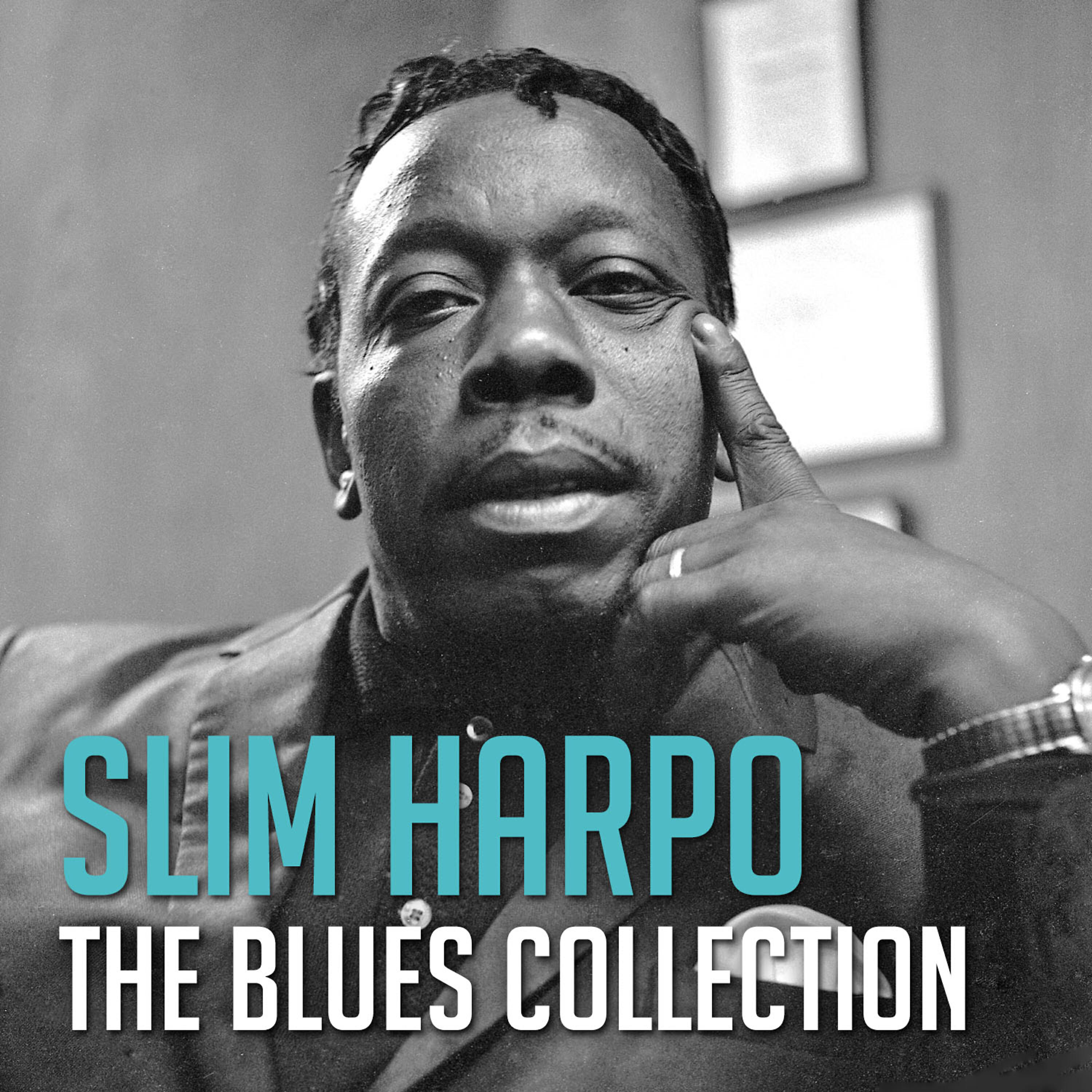 Slim Harpo - Don't Start Cryin' Now