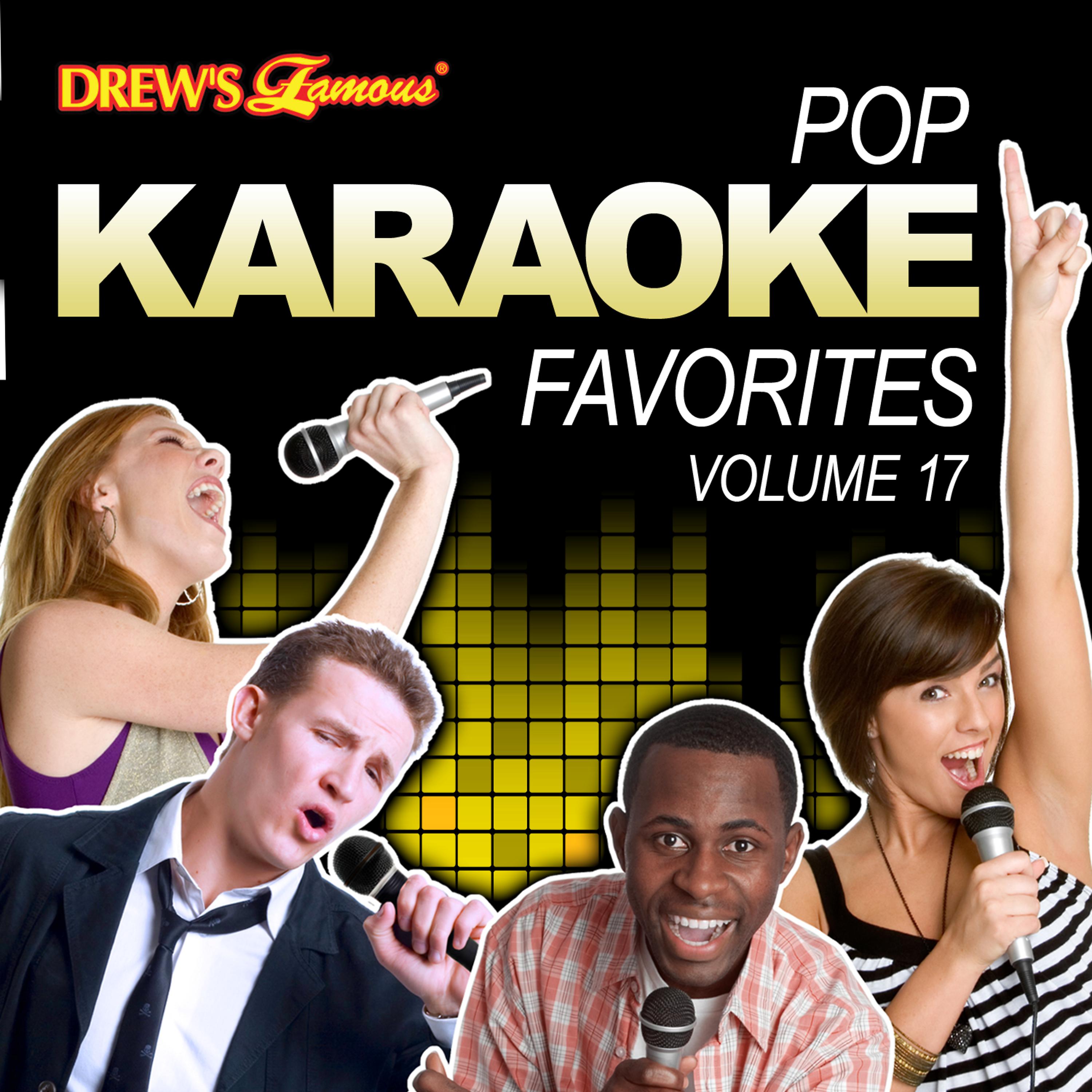 Постер альбома Pop Karaoke Favorites, Vol. 17