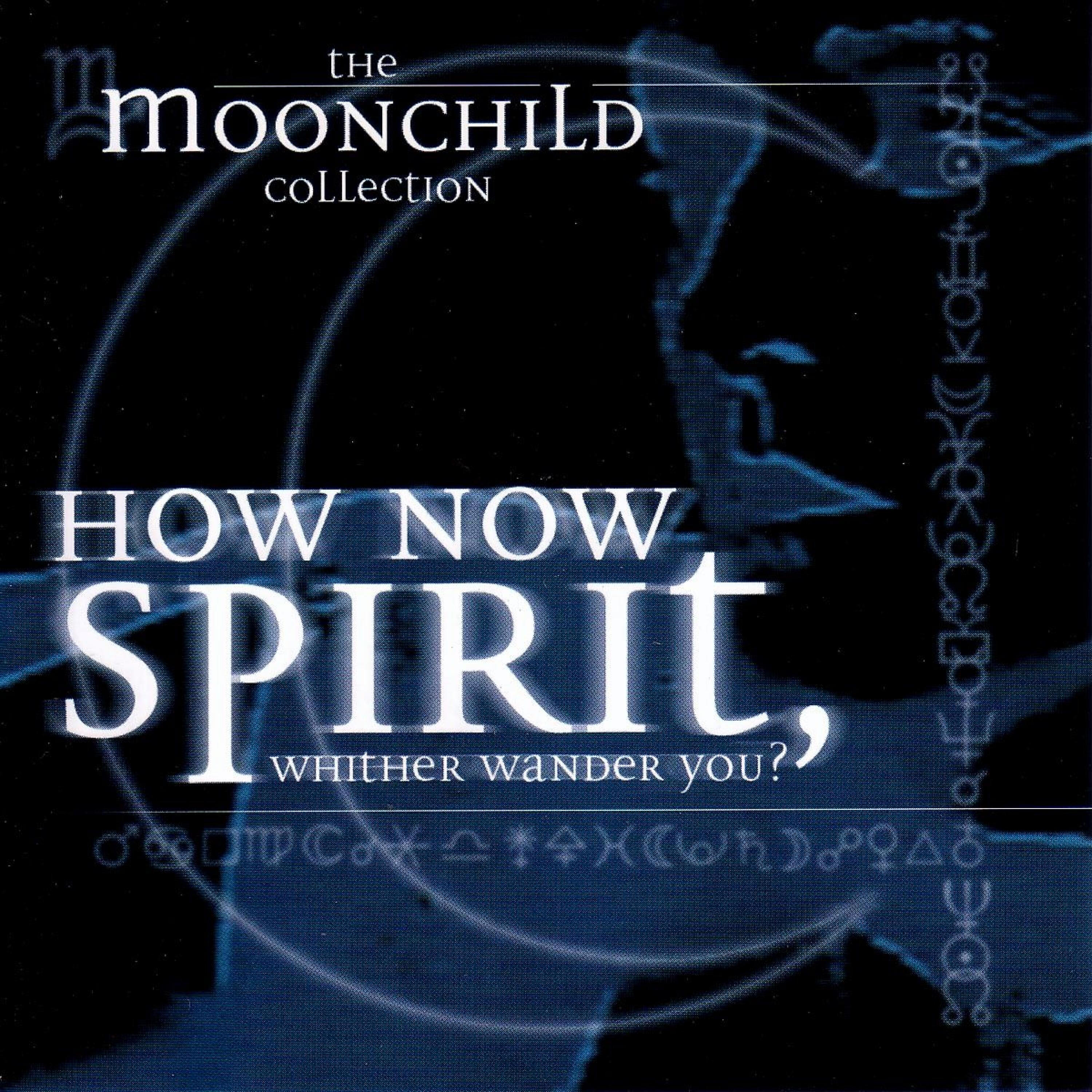 Moonchild - Lost Days