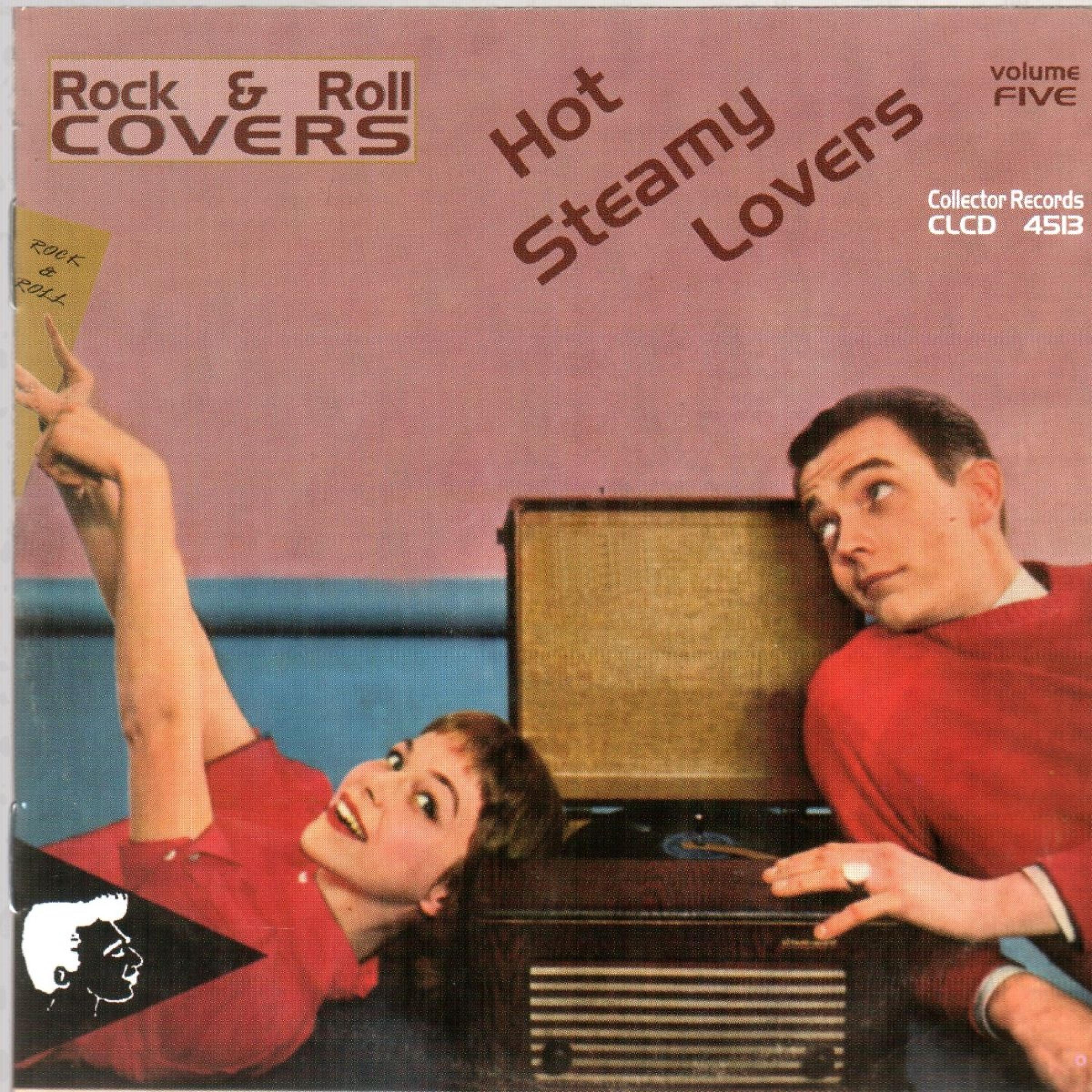 Постер альбома Rock & Roll Covers - Hot Steamy Lovers, Vol. 5
