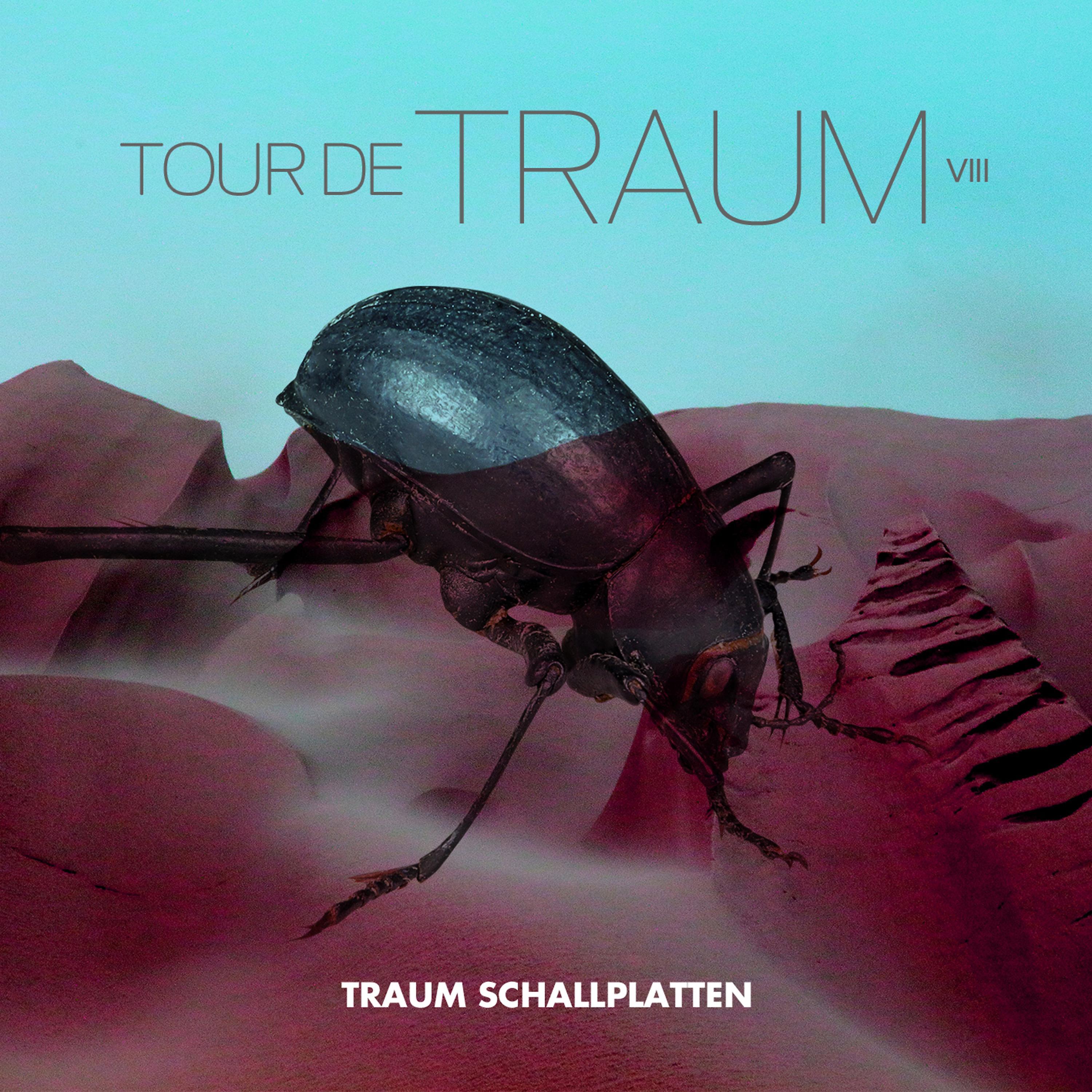 Постер альбома Tour De Traum VIII Mixed by Riley Reinhold