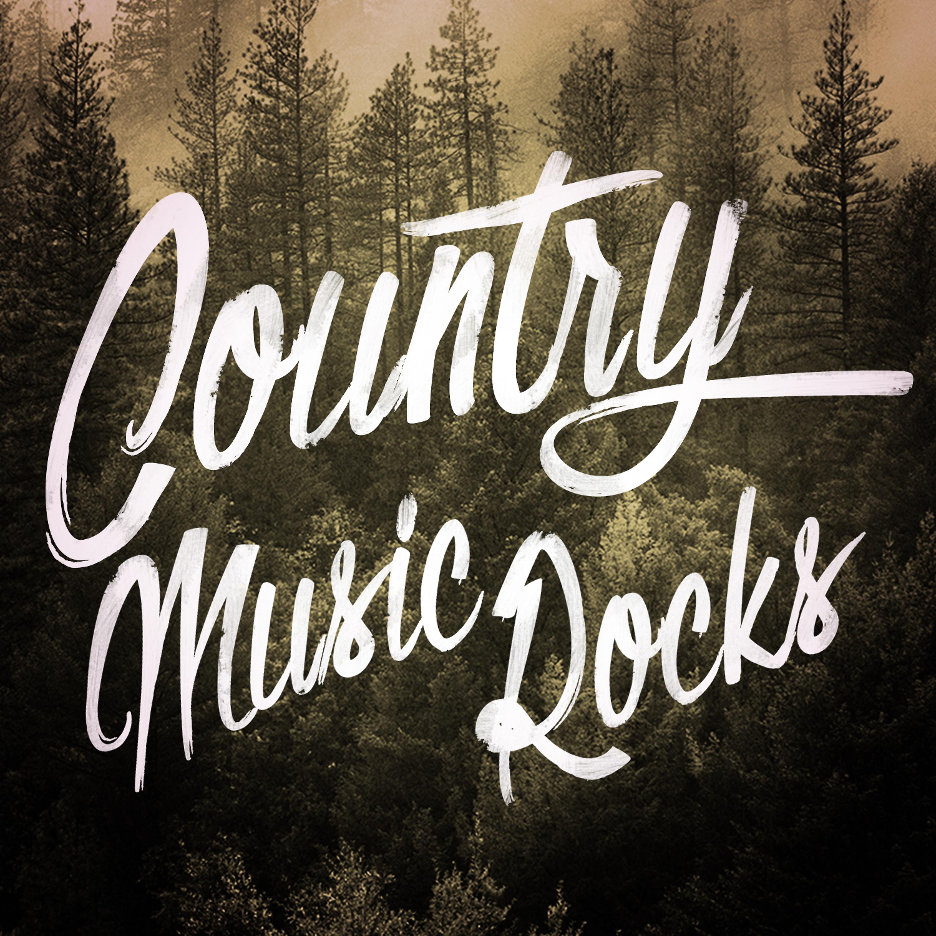 Постер альбома Country Music Rocks