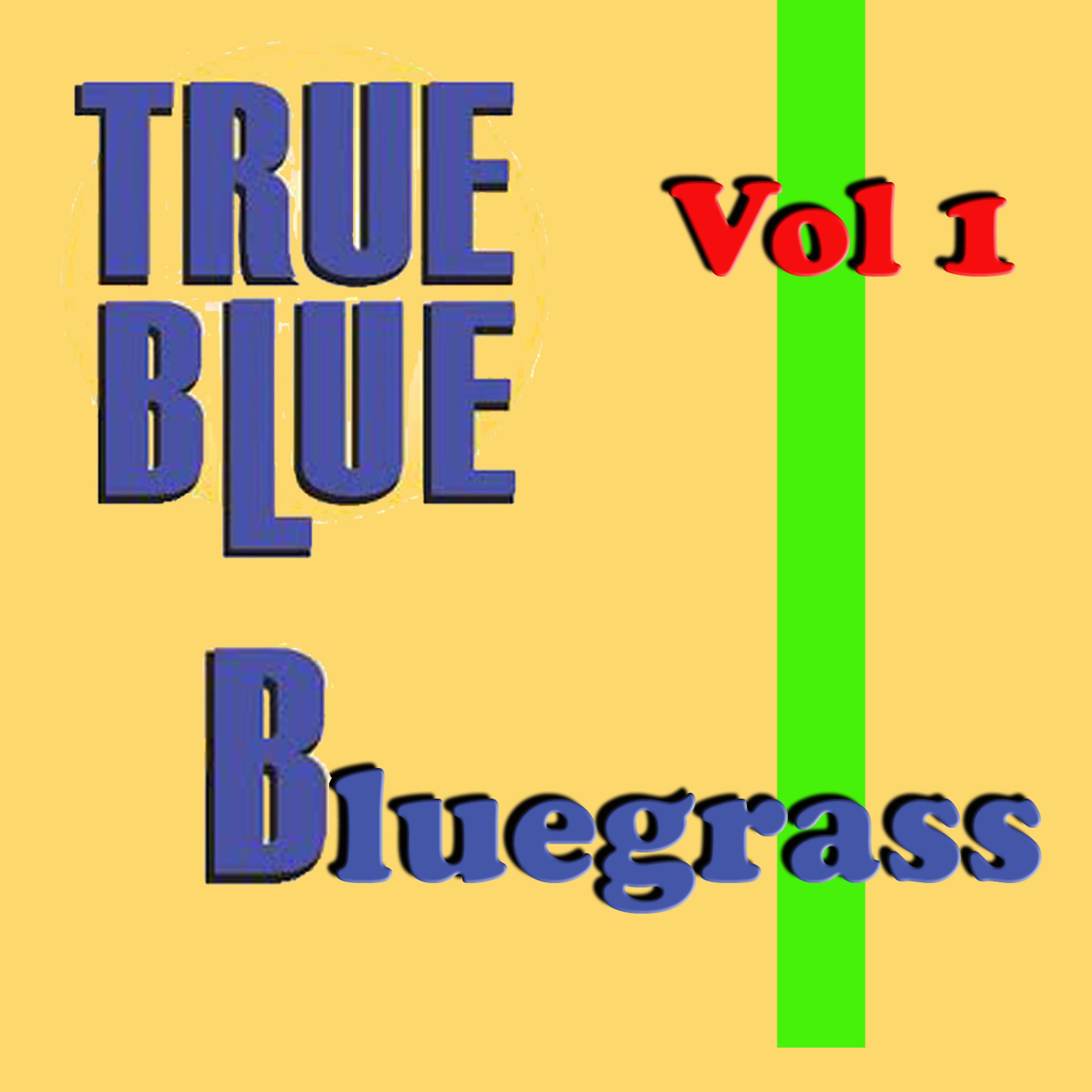 Постер альбома True Blue Bluegrass, Vol. 1
