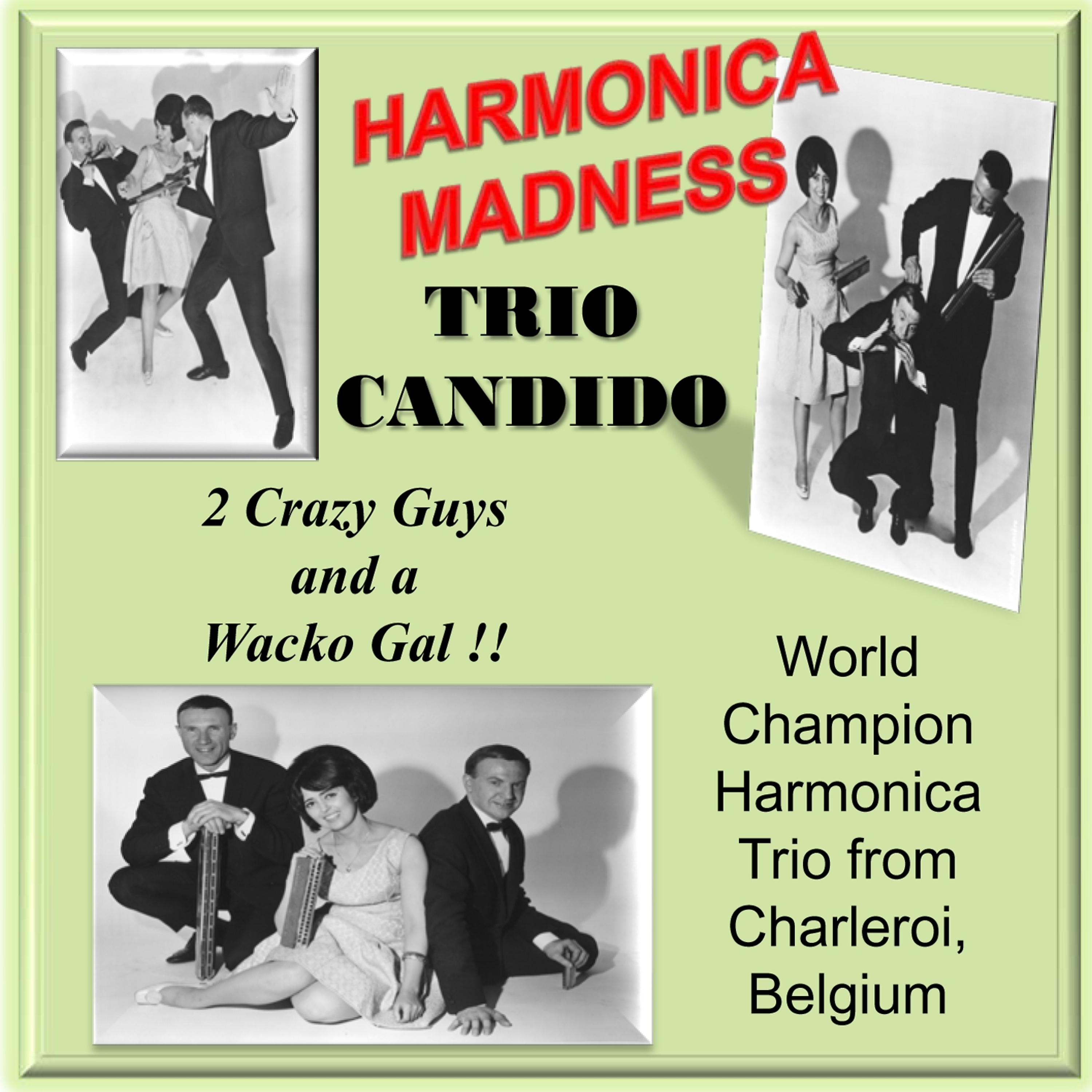 Постер альбома Harmonica Madness