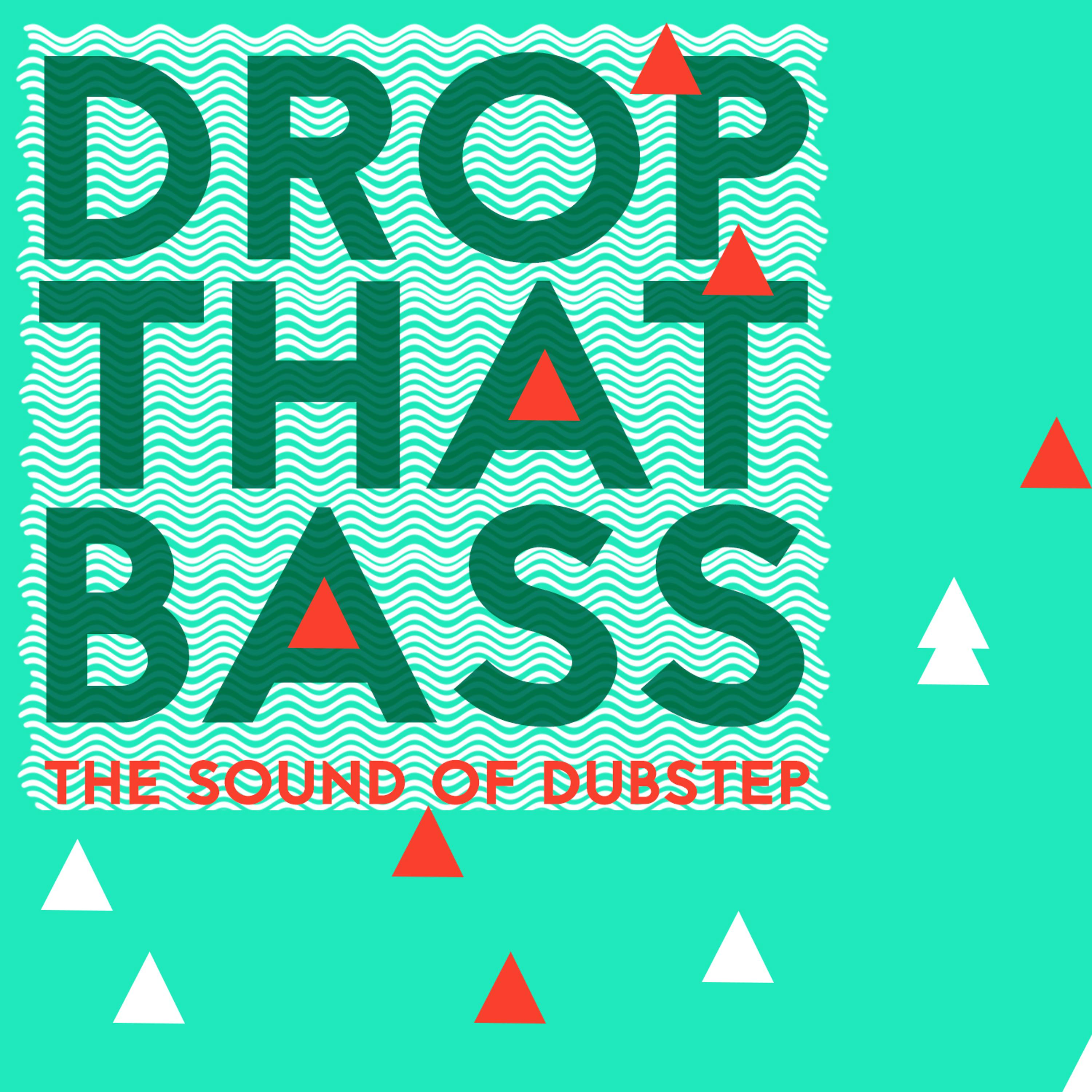 Постер альбома Drop That Bass: The Sound of Dubstep
