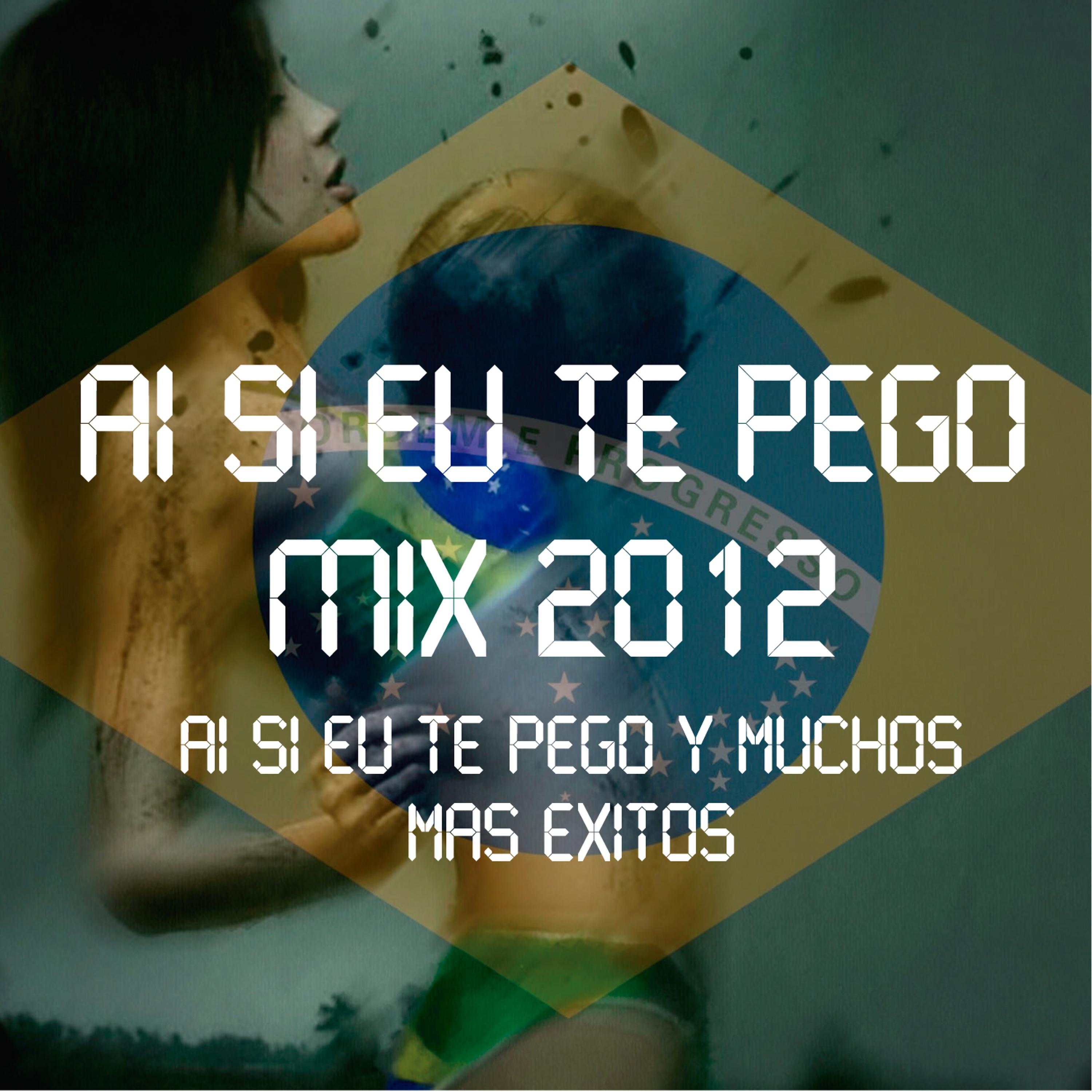 Постер альбома Ai Si Eu Te Pego Mix 2012