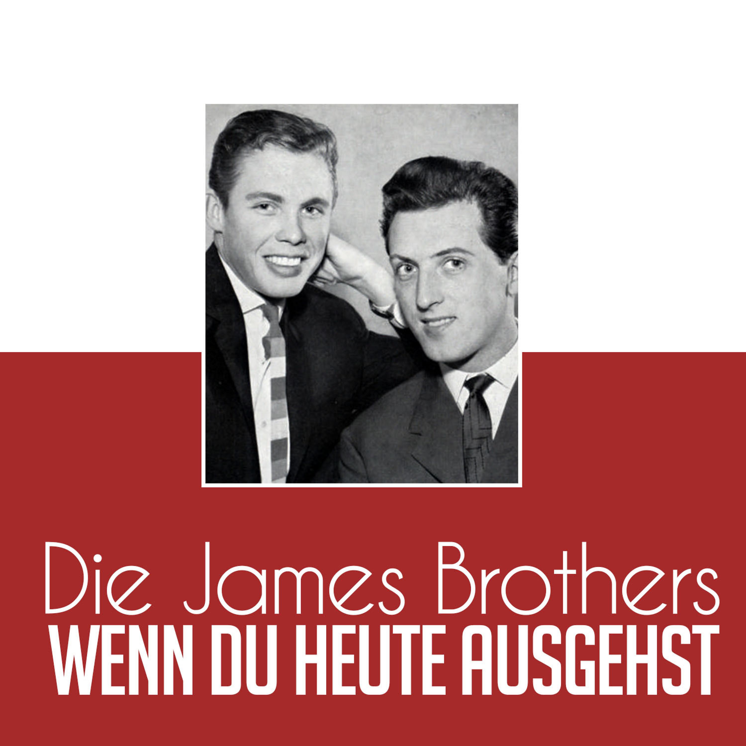 Постер альбома Wenn du heute Ausgehst