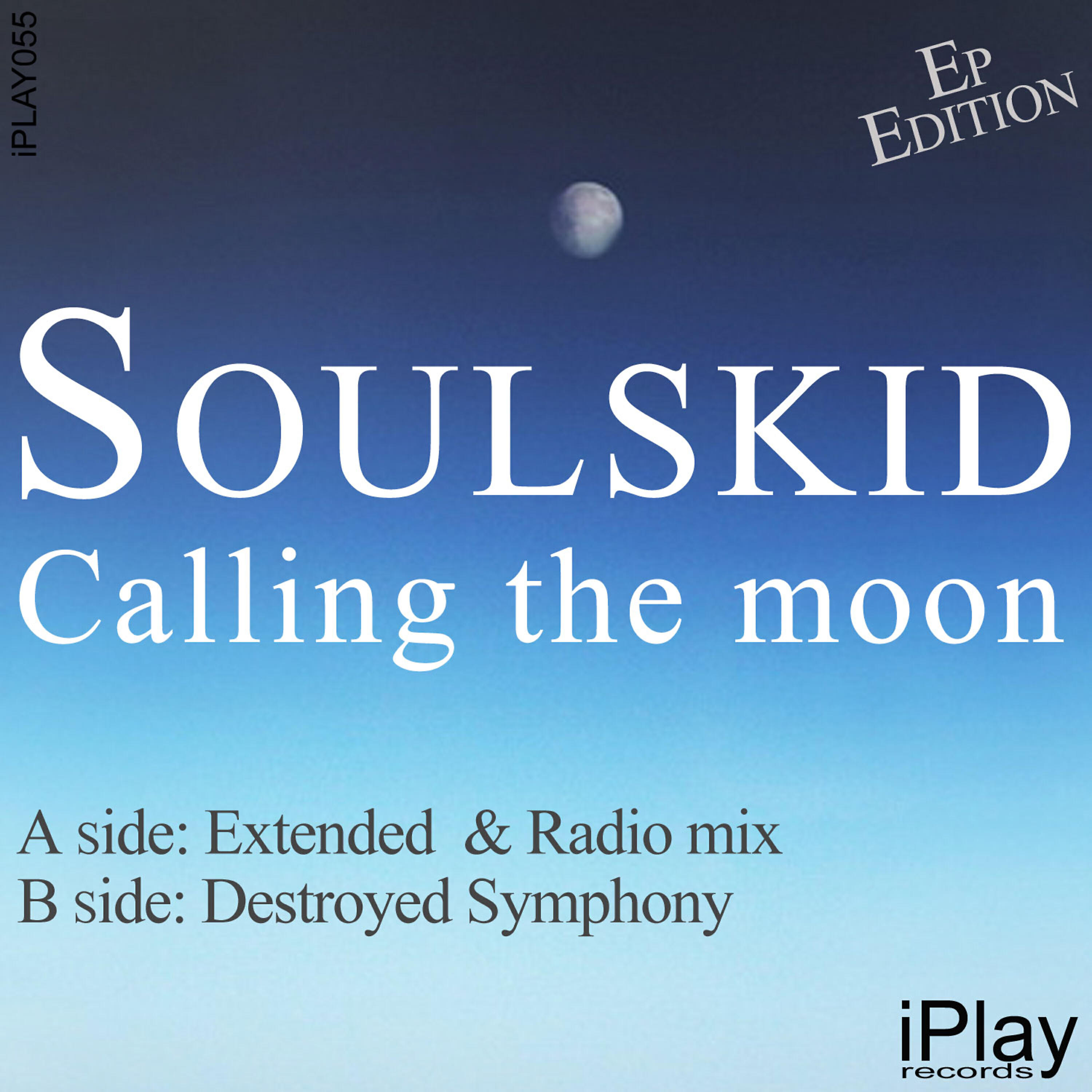 Soulskid - Destroyed Symphony (Original Mix)
