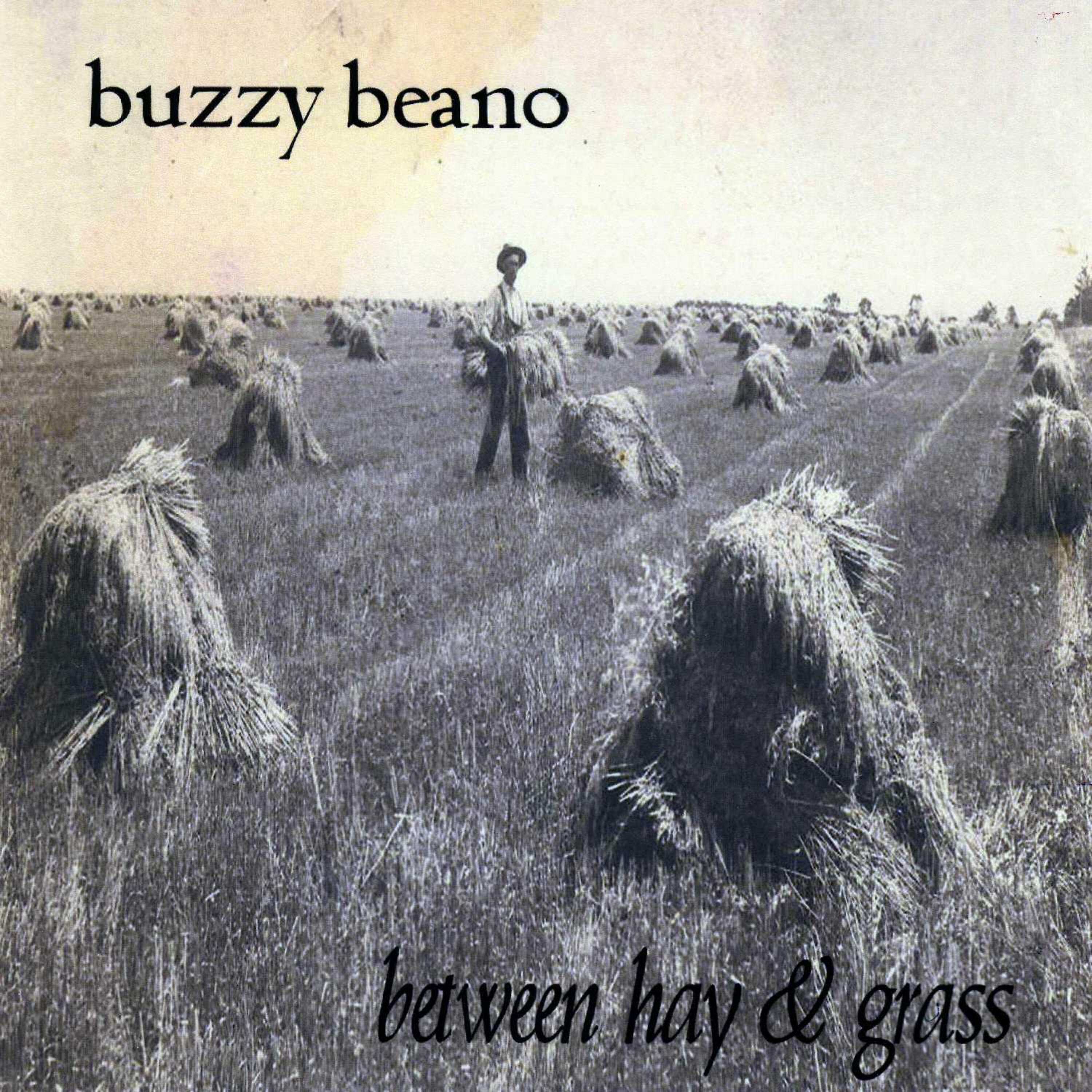 Buzzy Beano - Saddle Sunset
