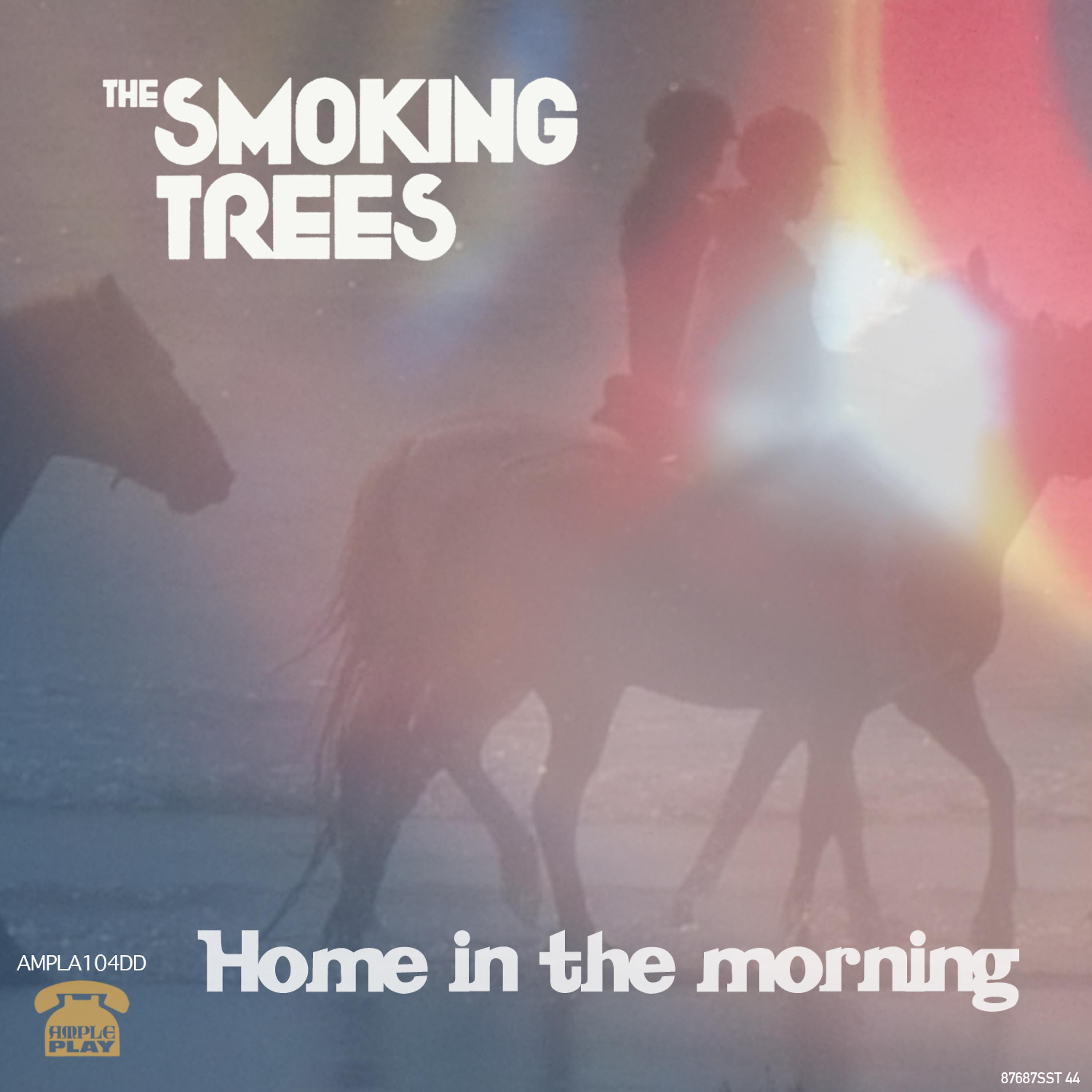 Постер альбома Home in the Morning - Single