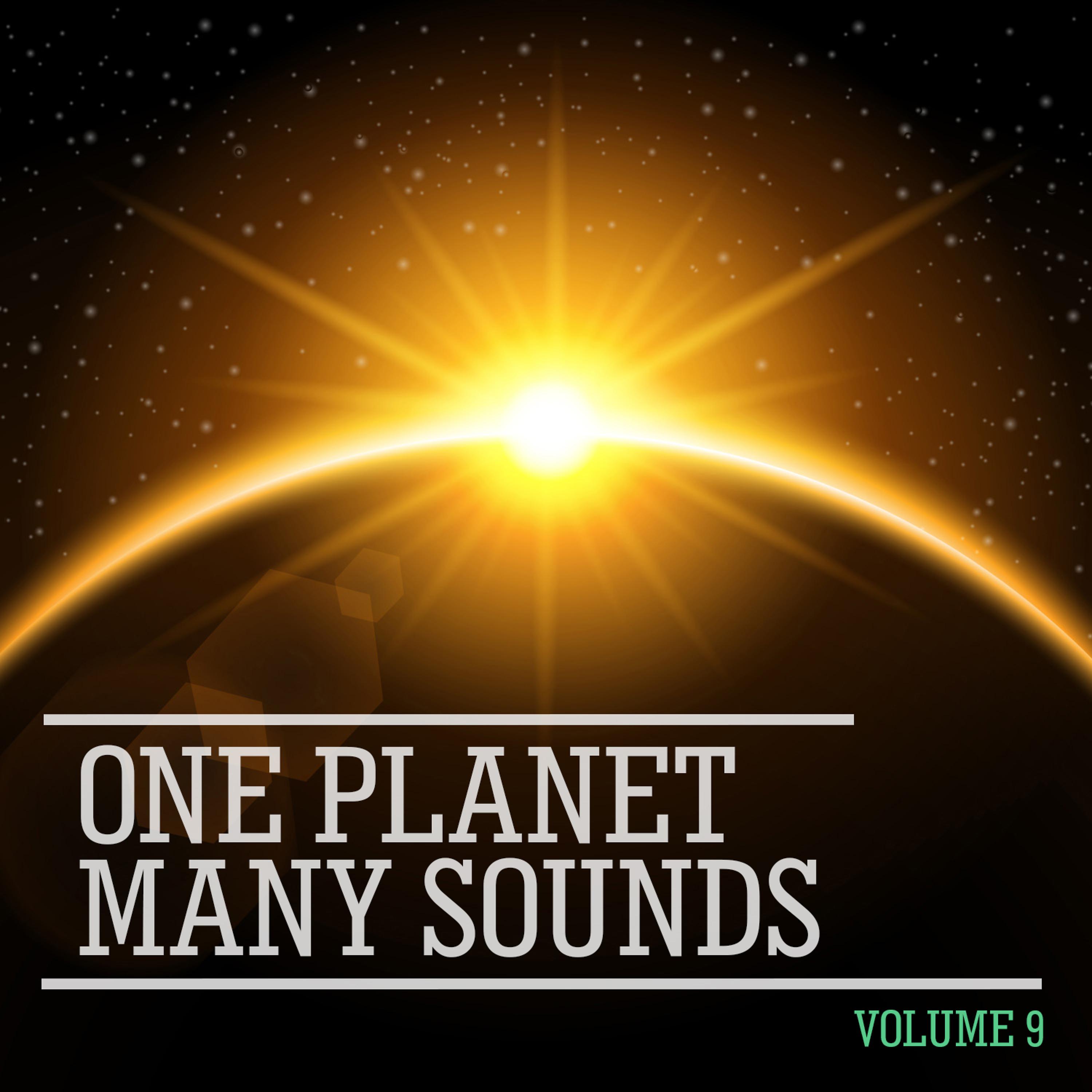 Постер альбома One Planet Many Sounds, Vol. 9