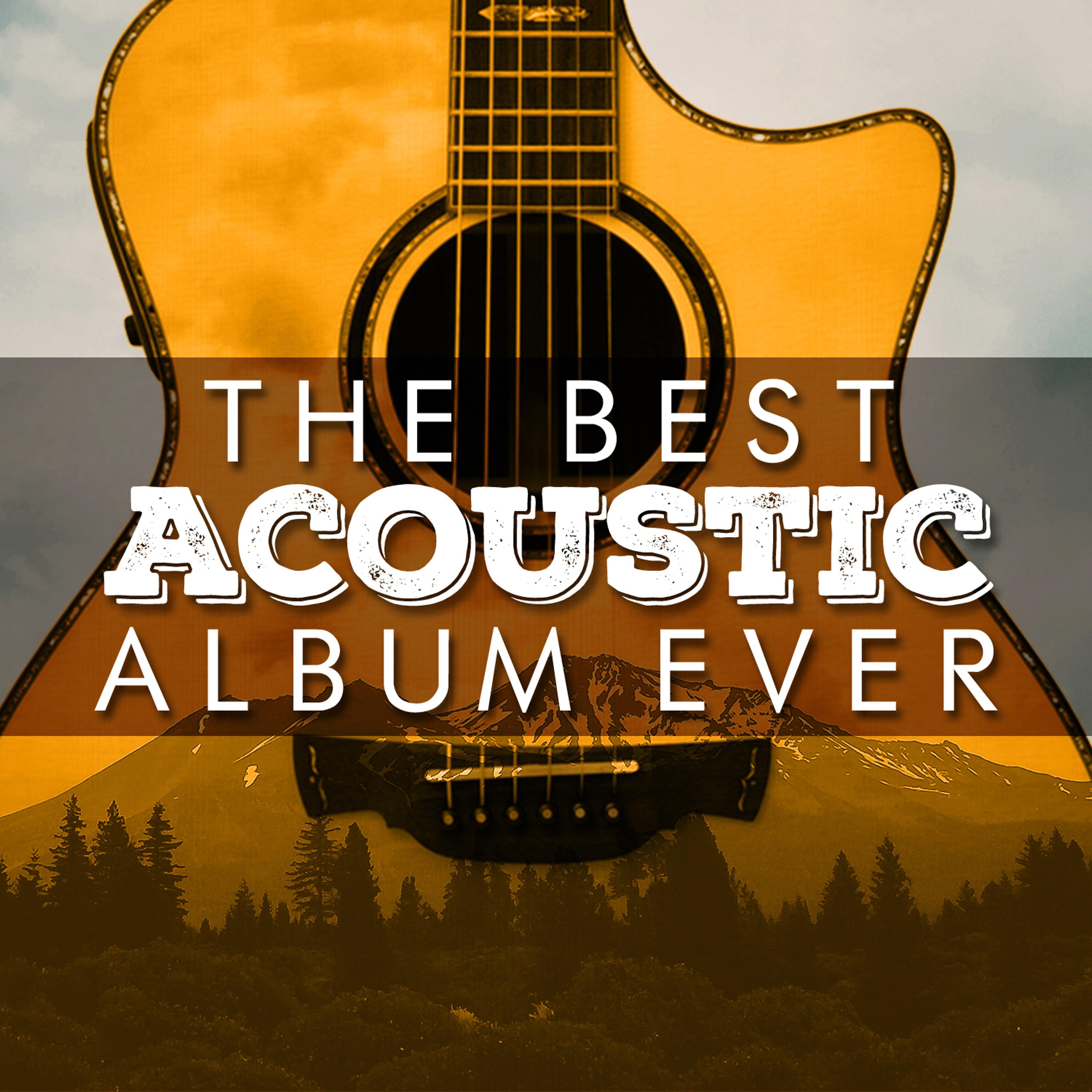 Постер альбома The Best Acoustic Album Ever
