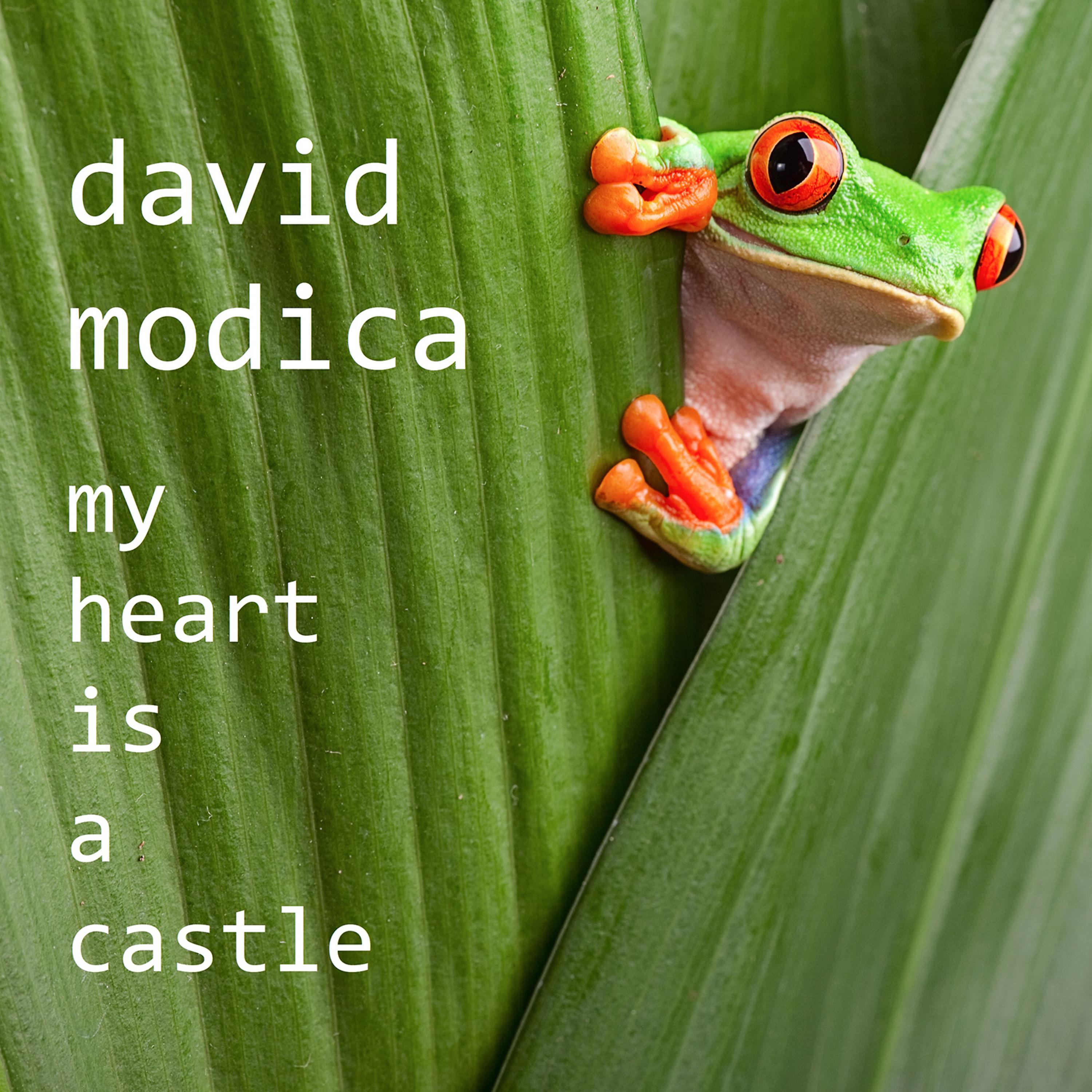Постер альбома My Heart is a Castle