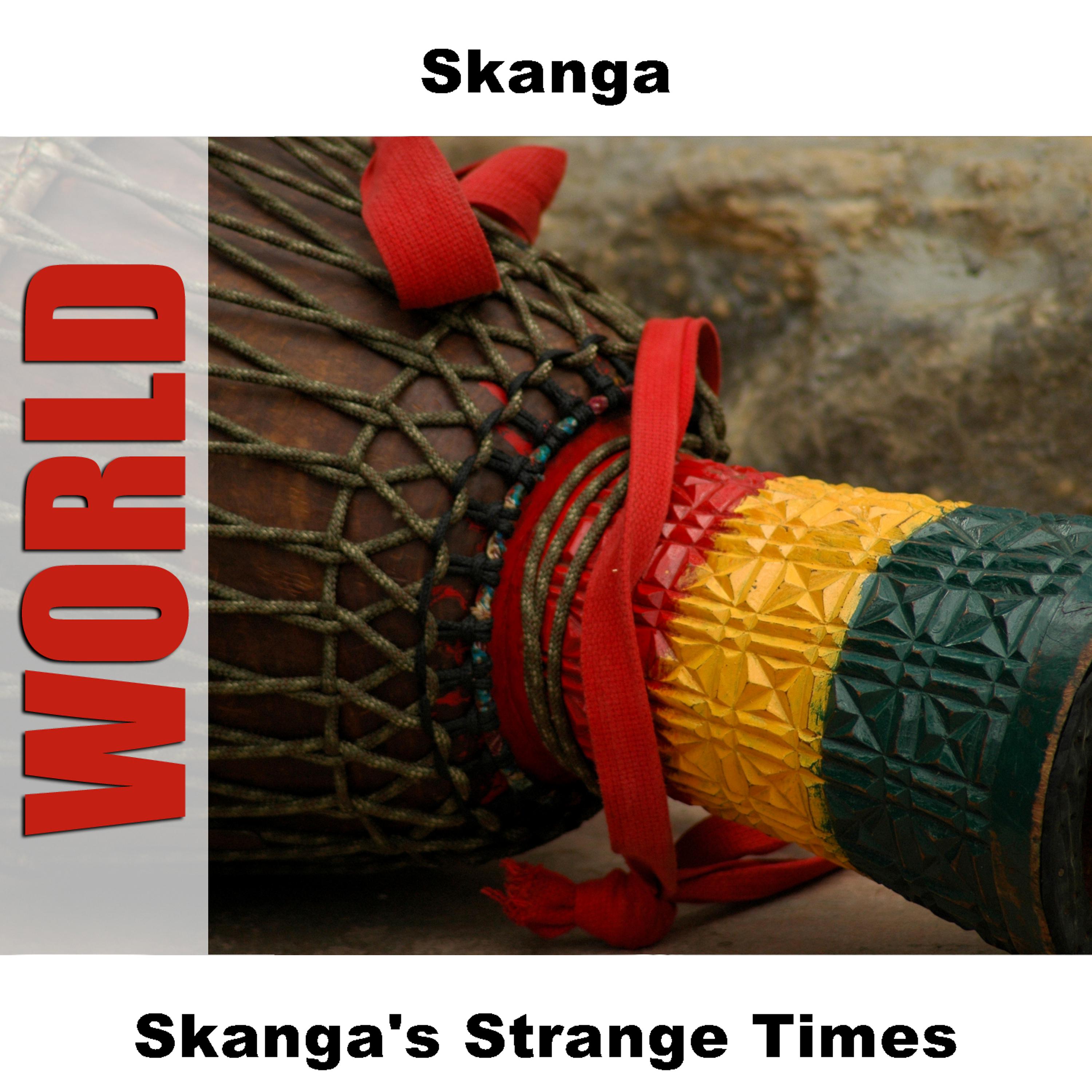 Постер альбома Skanga's Strange Times