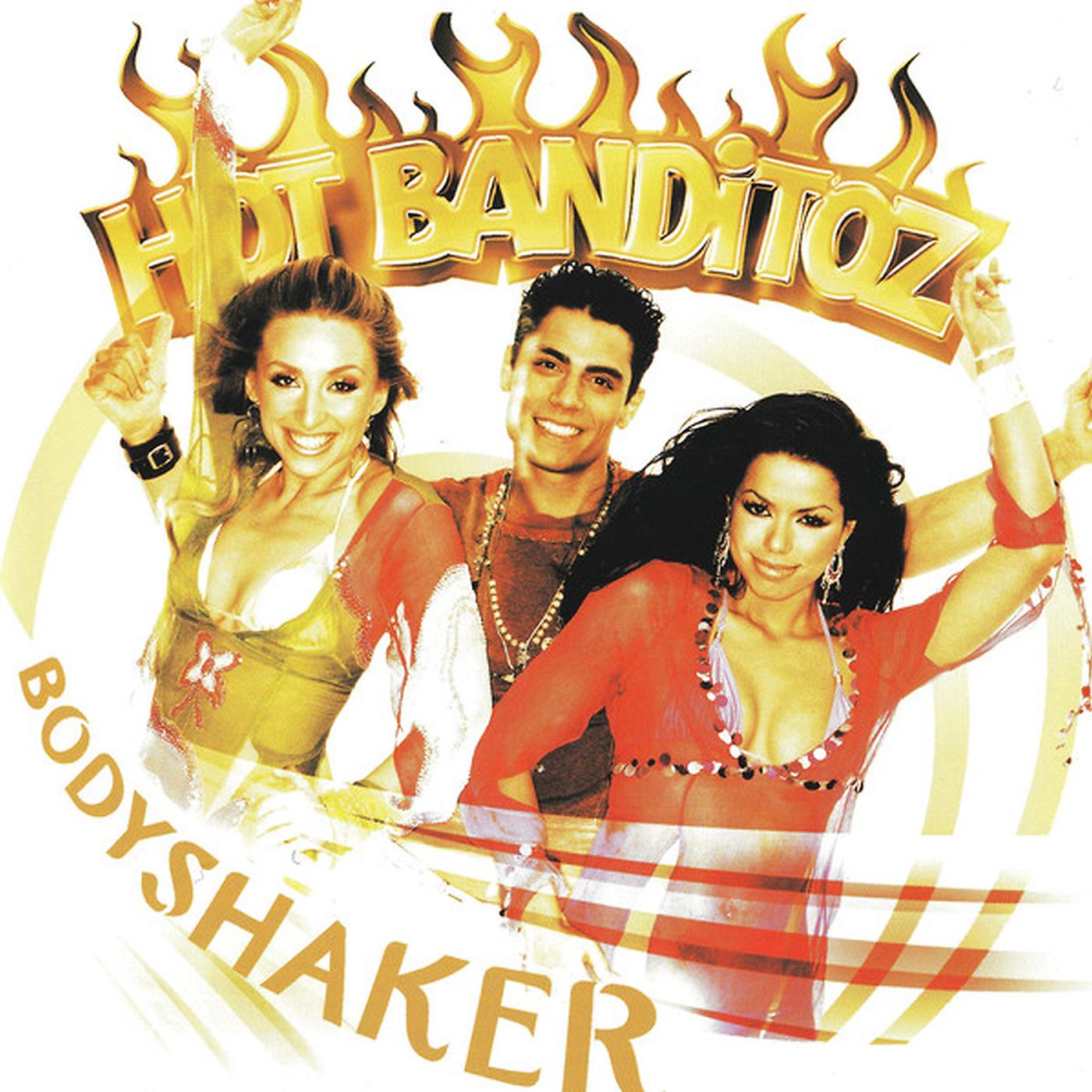 Постер альбома Bodyshaker