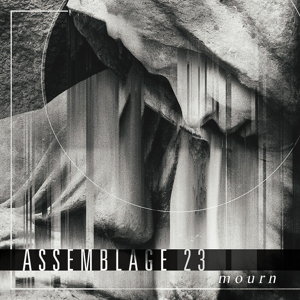 Assemblage 23 - Dissonance