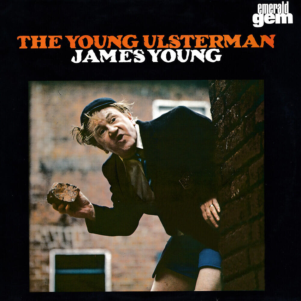 James Young - Orange Lily