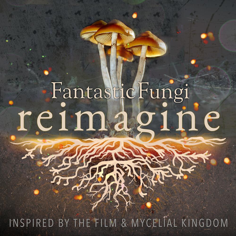 Постер альбома Fantastic Fungi: Reimagine