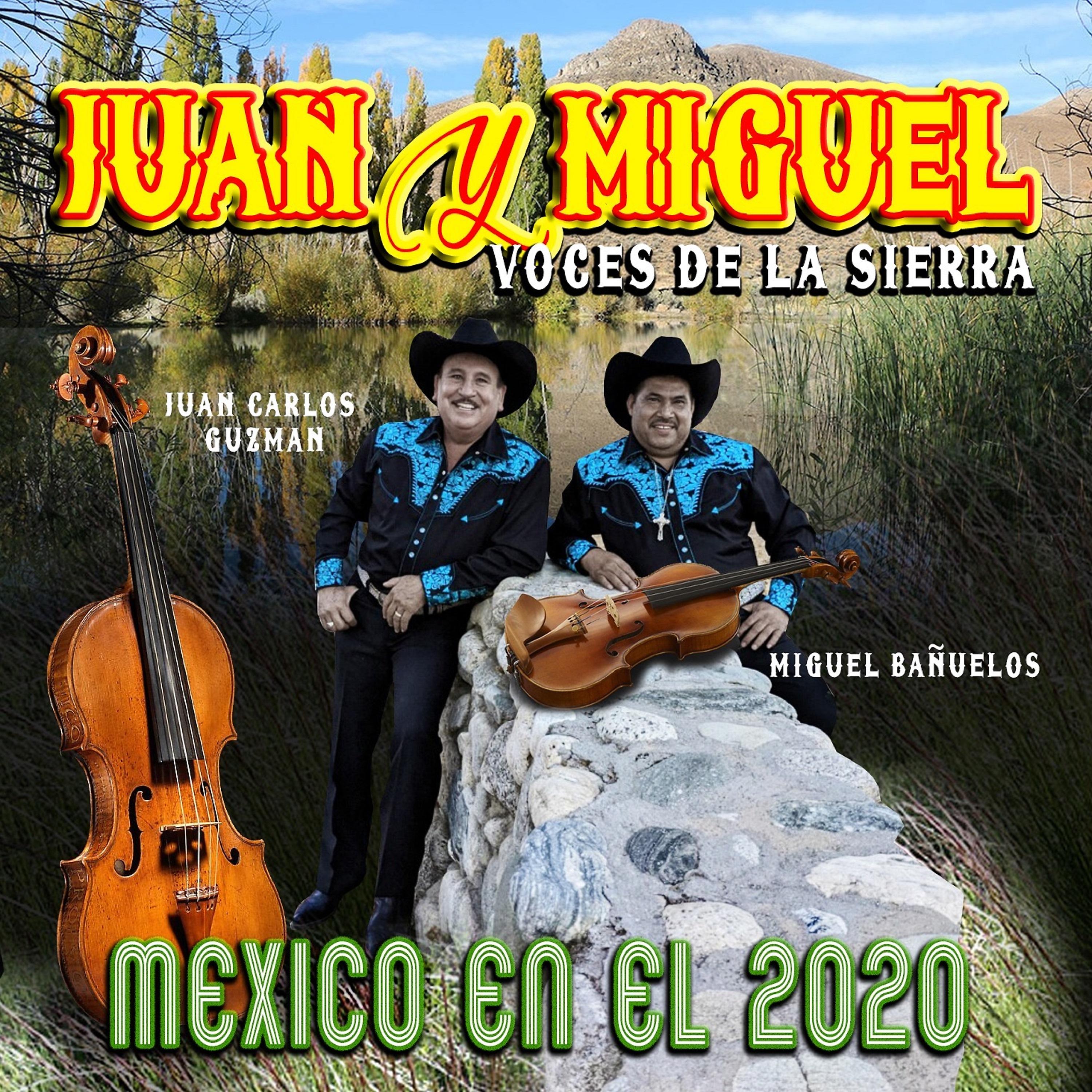 Постер альбома Mexico en el 2020