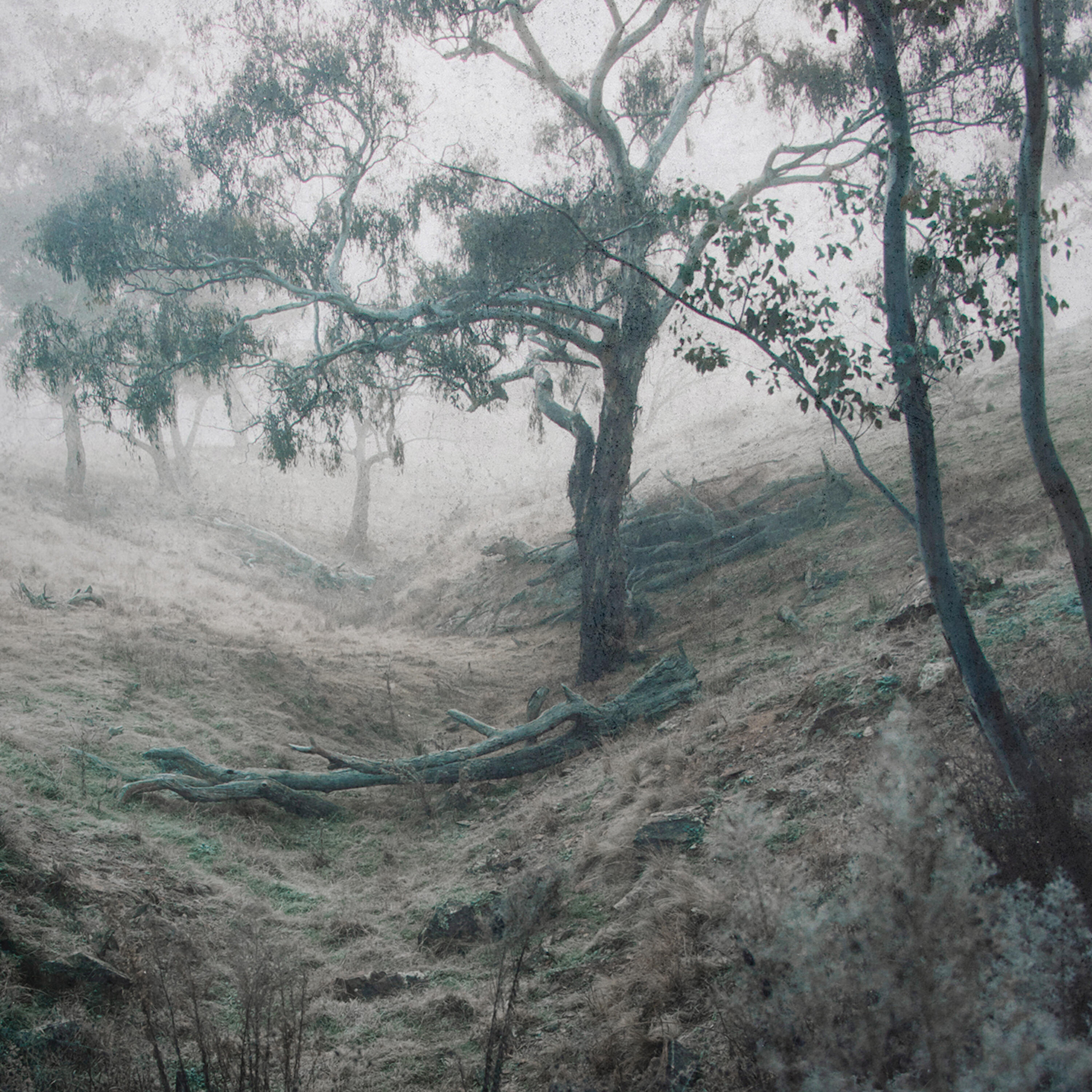 Claire Deak - The Rain