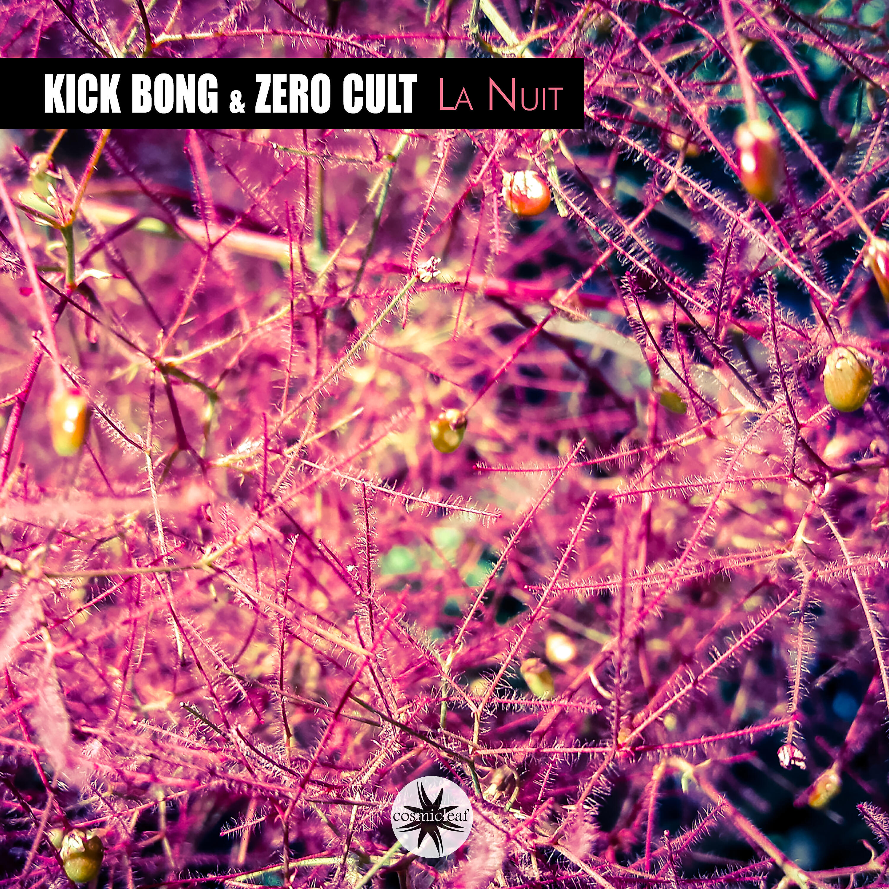 Kick Bong - La Nuit