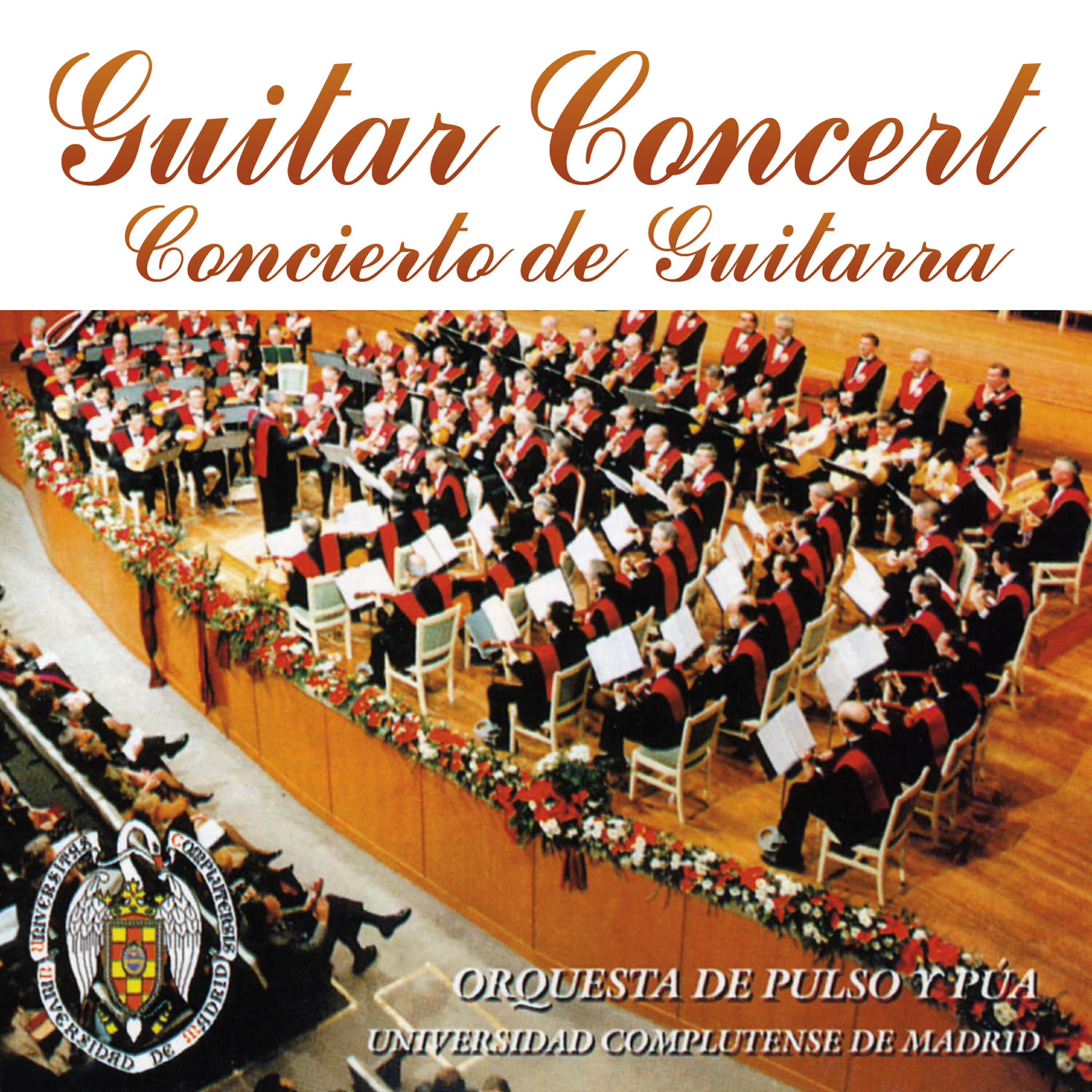 Orquesta de Pulso - Puenteareas