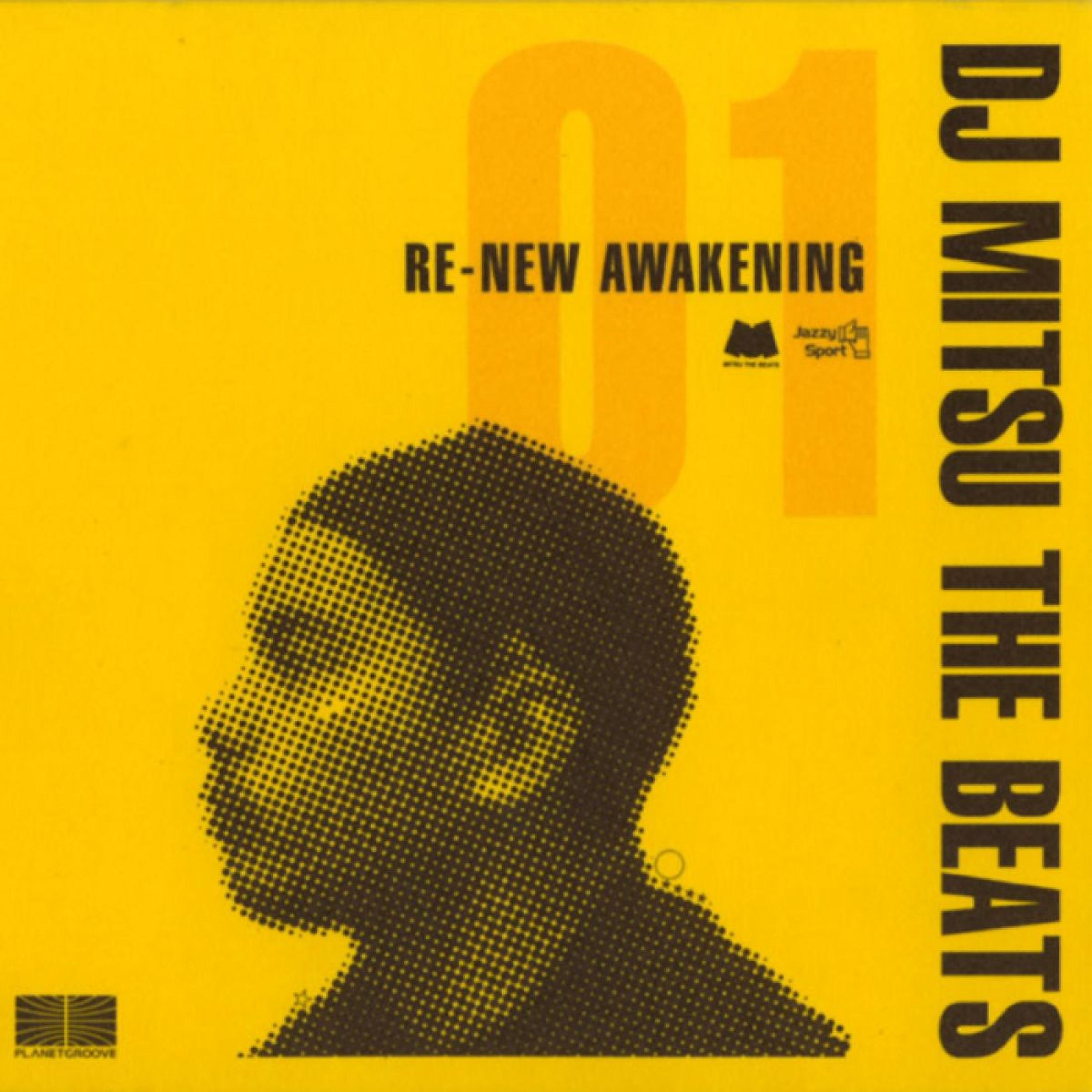 Постер альбома Re New Awakening, Pt. 1