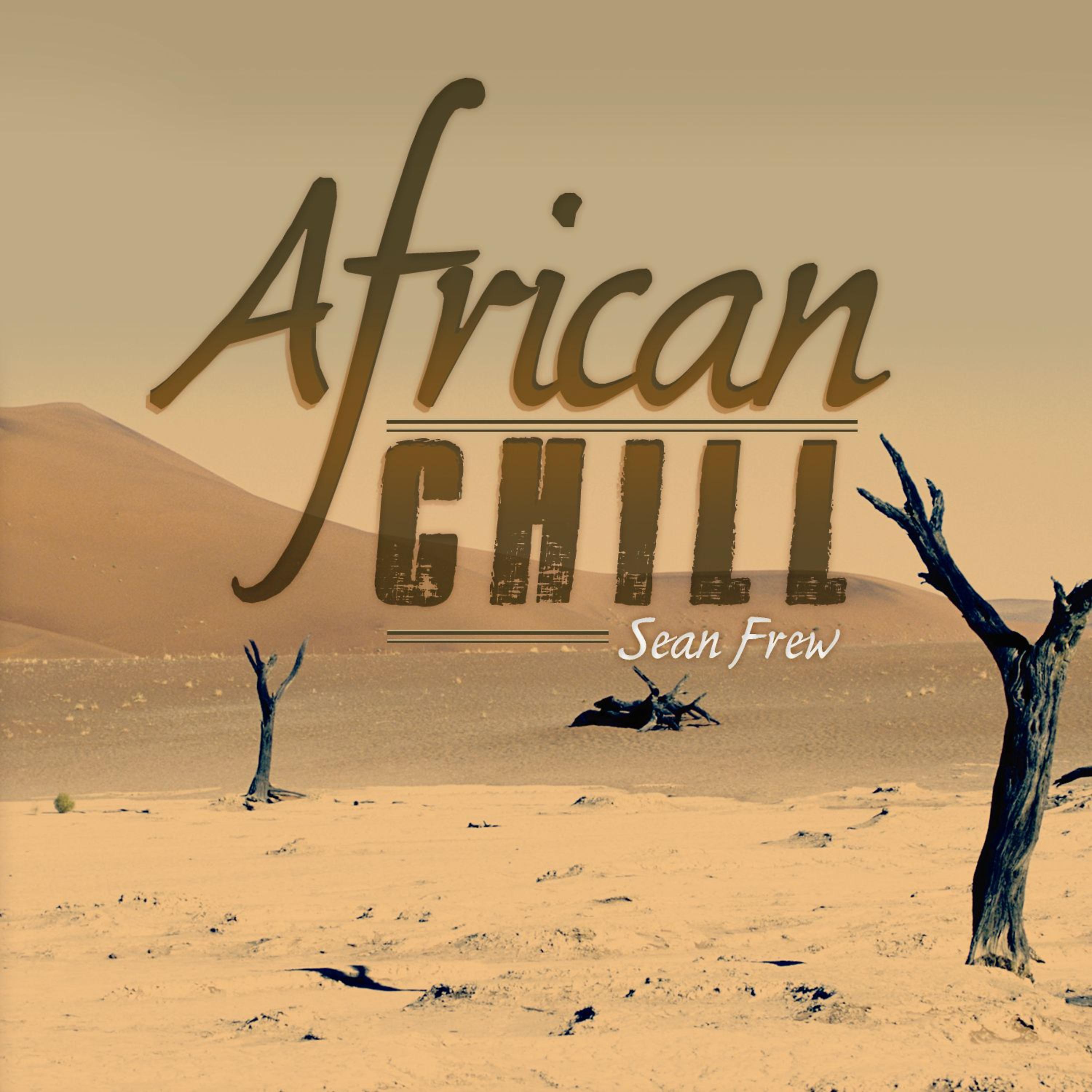 Постер альбома African Chill