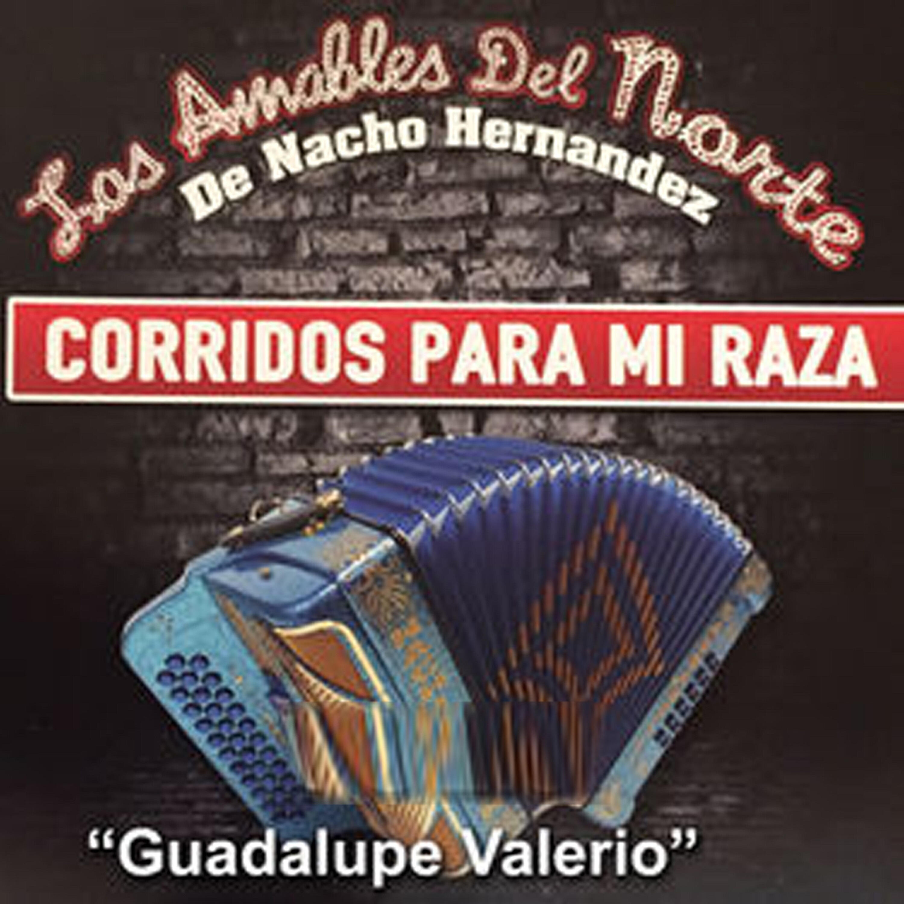 Los Amables Del Norte - Corrrido de Chuy Lopez