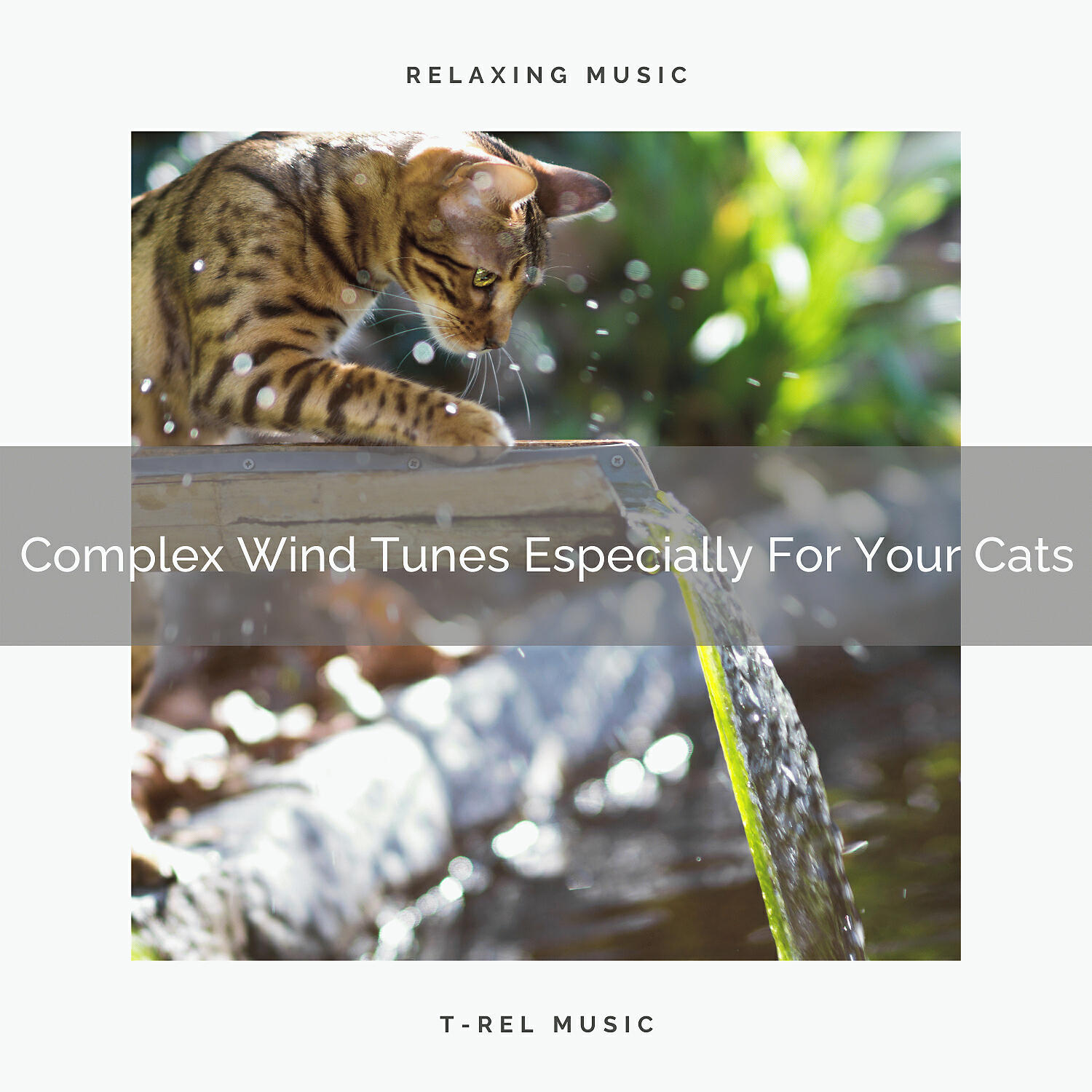 Cat Total Relax - Total Weather Whispers For Your Dear Cats