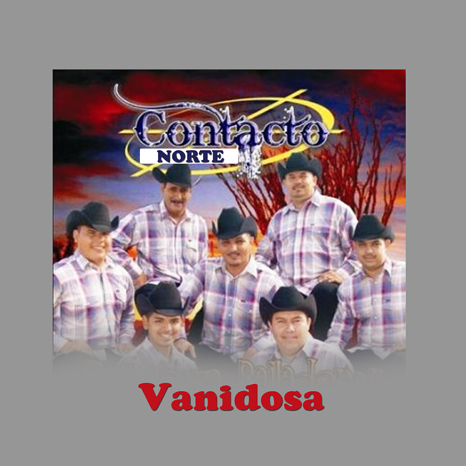 Contacto Norte - Vanidosa