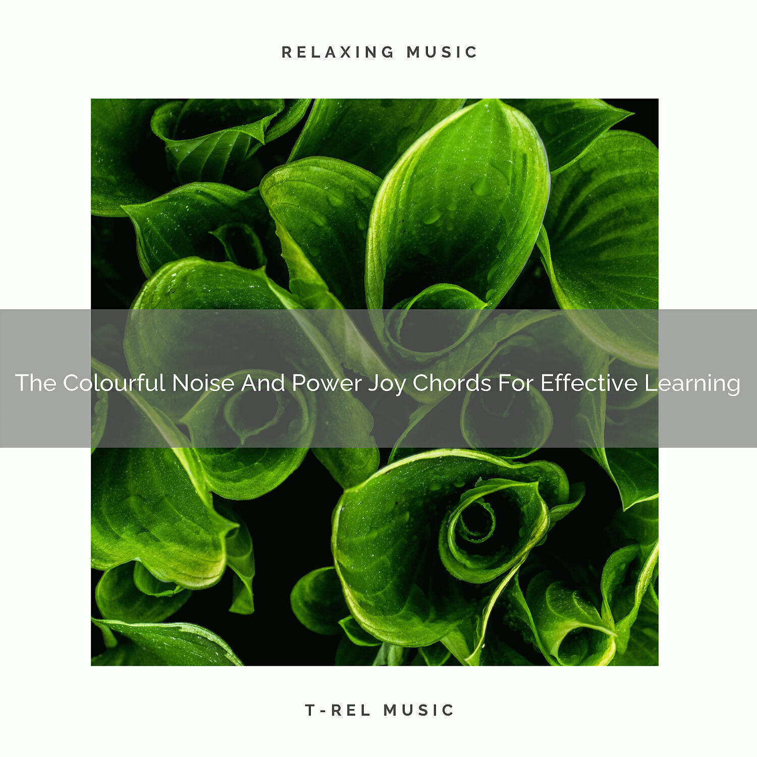 Brown Noise Therapy - The Colourful Noise And Power Joy Chords For Effective Sleeping
