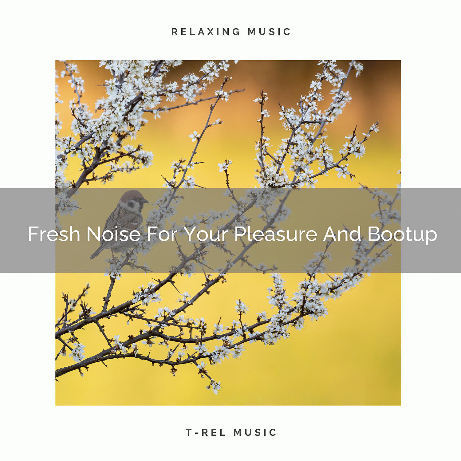 Chill Relajente - Fresh Noise For Your Mind And Hard Relax