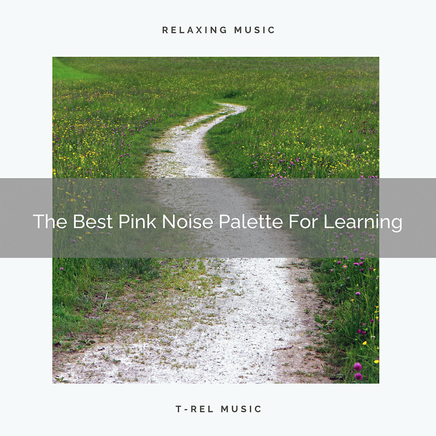 The White Noise Zen - The Best Pink Noise Palette For Studying