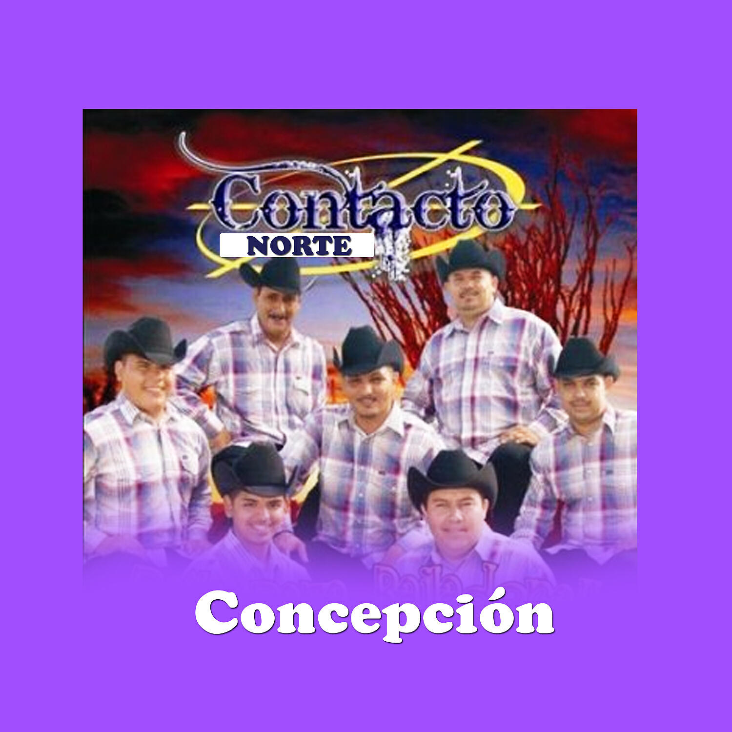Contacto Norte - Concepción