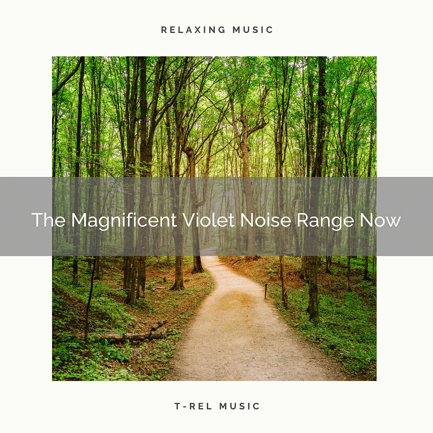 White Noise Hour - The Magnificent Violet Noise Range Now