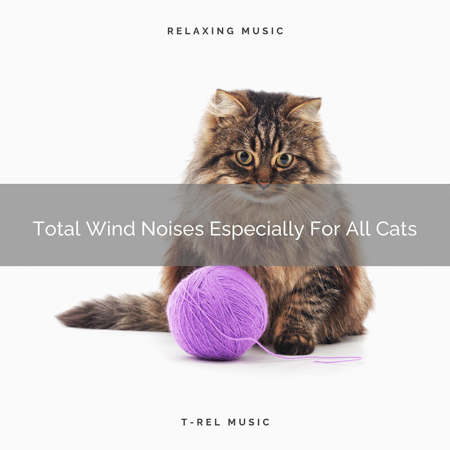 Pets Relax - Calming Waves Noises For Household Cats