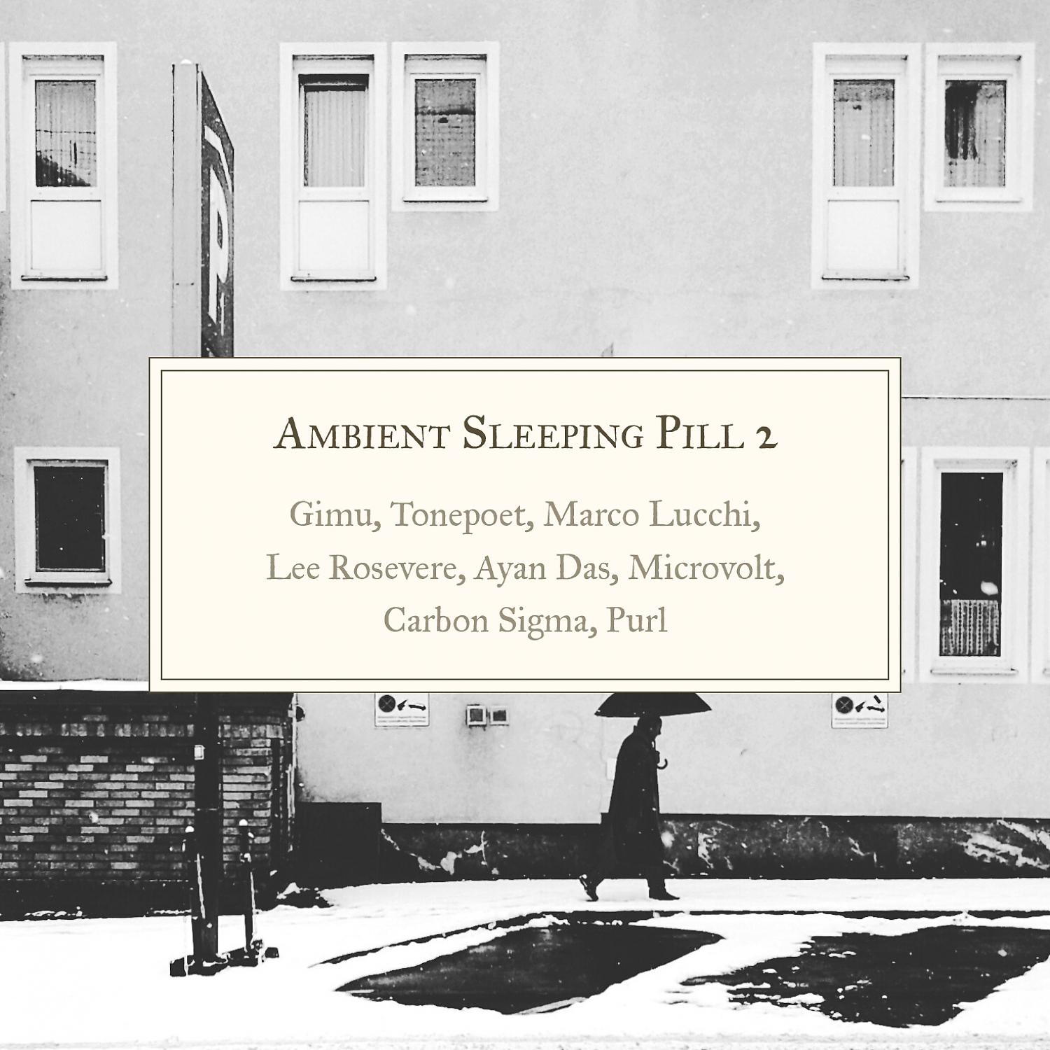 Постер альбома Ambient Sleeping Pill 2