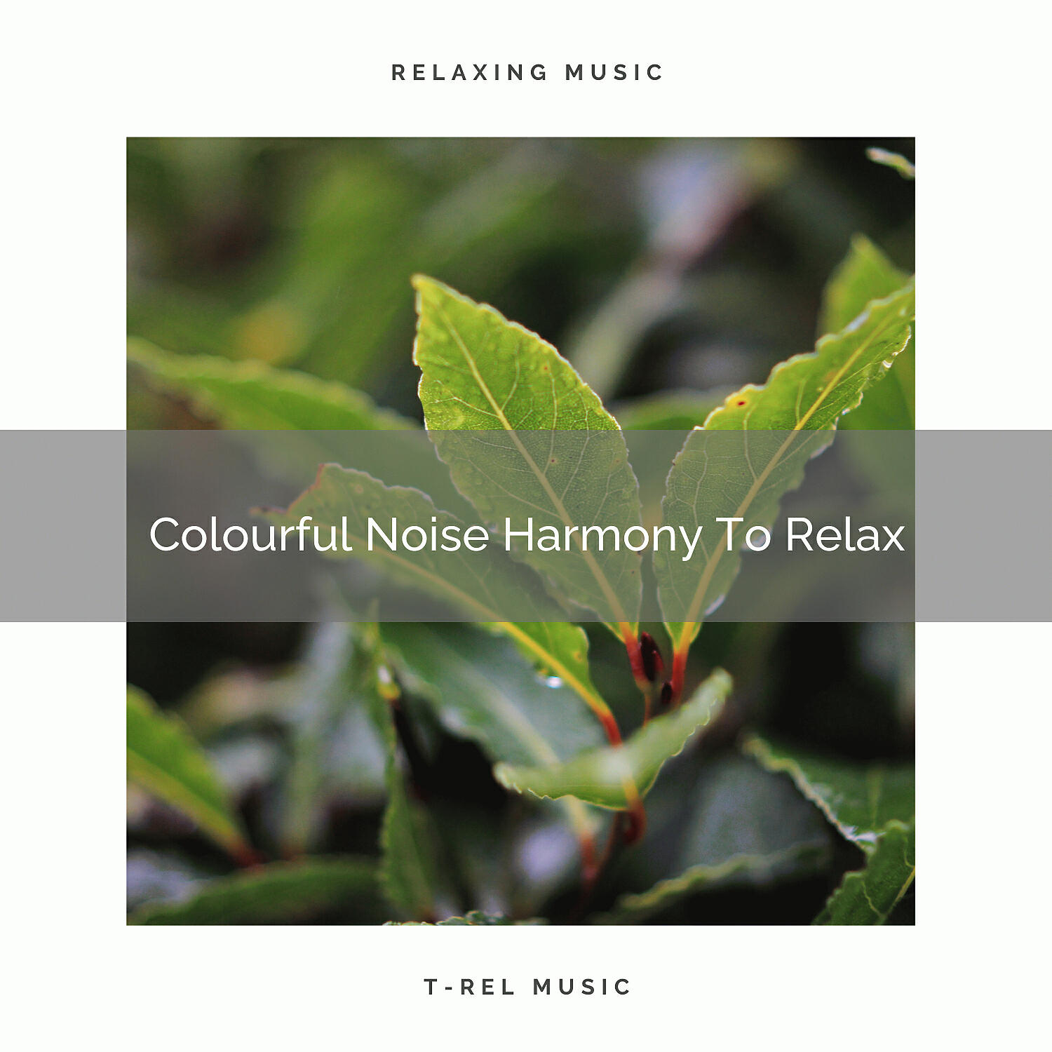 White Noise Hour - Colourful Noise Harmony To Relax