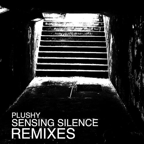 Постер альбома Sensing Silence Remixes
