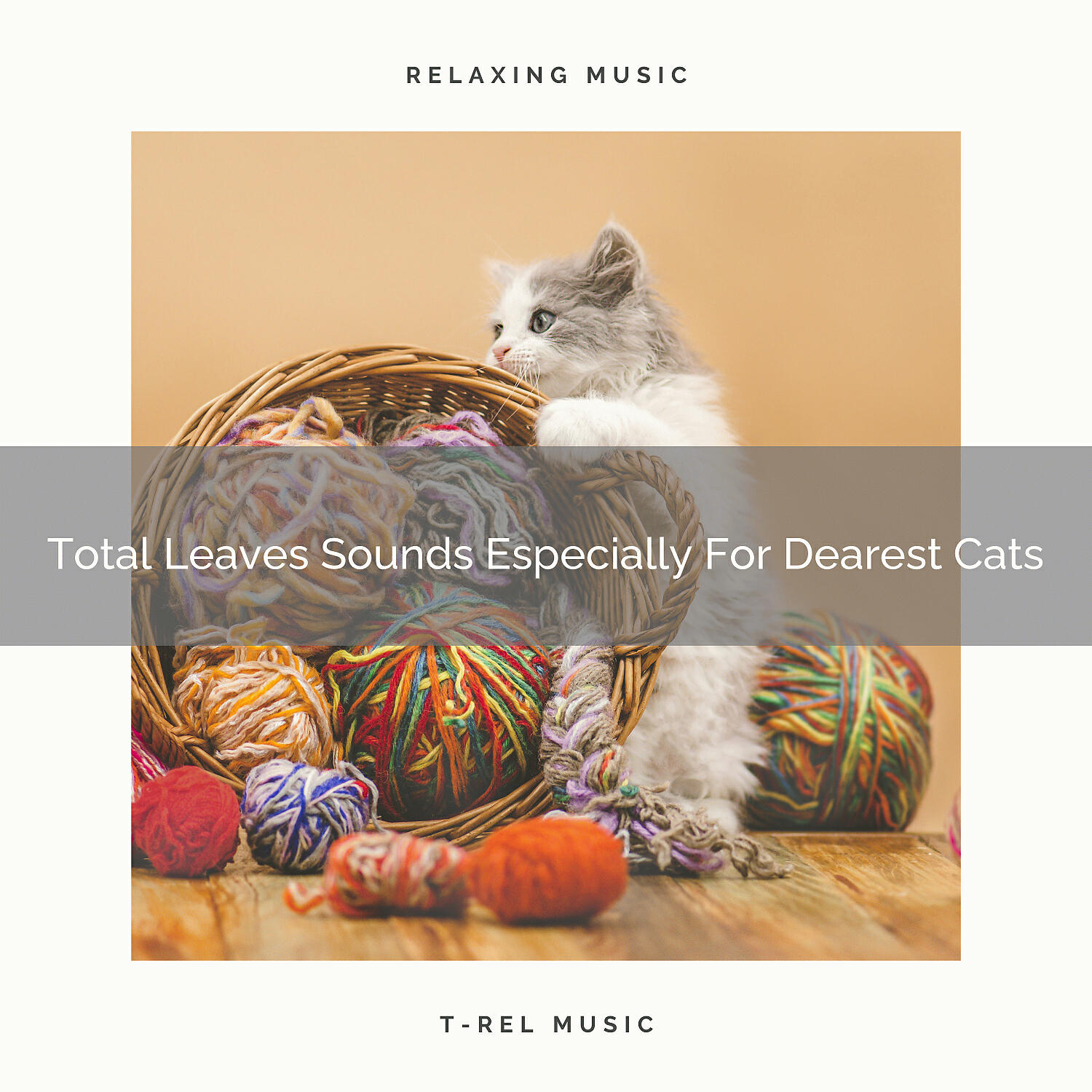 Cat Total Relax - Calming Waves Noises Especially For Dearest Cats
