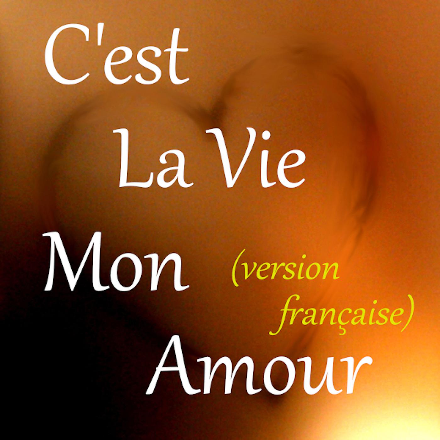 Постер альбома C'est La Vie Mon Amour (version francaise)