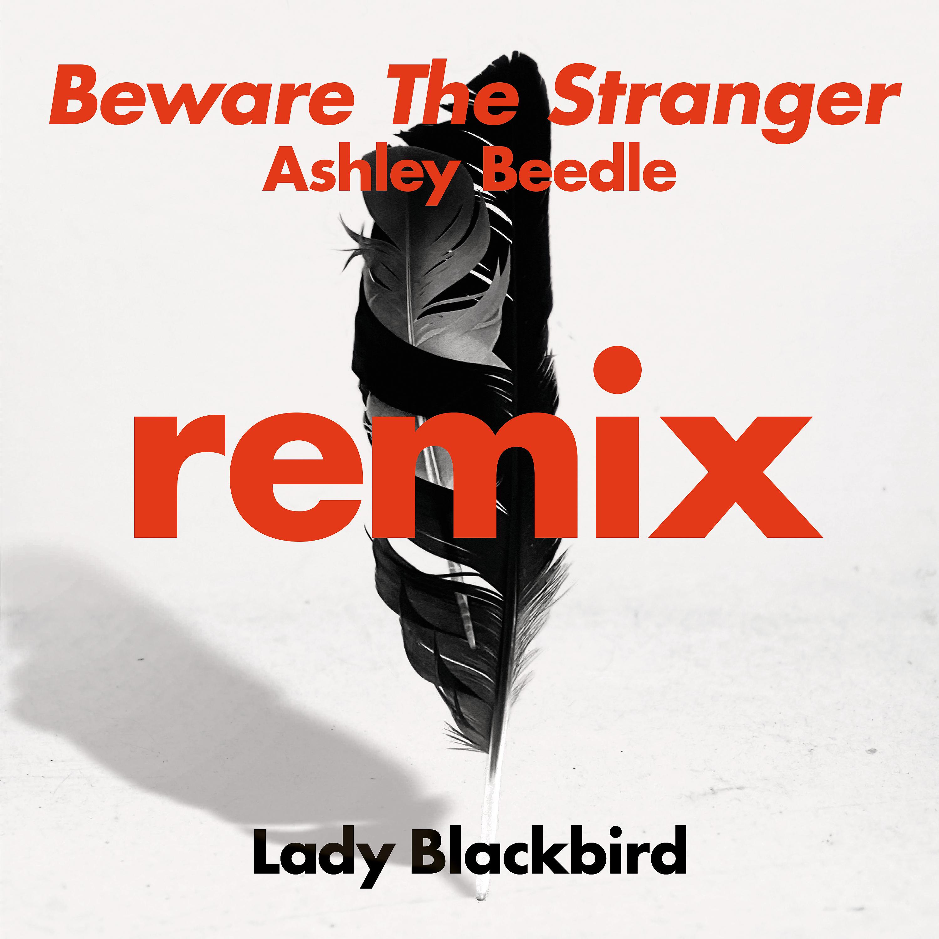 Постер альбома Beware The Stranger (Ashley Beedle Remix)