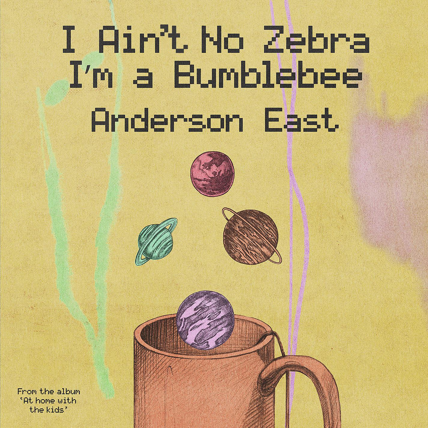 Постер альбома I Ain't No Zebra I'm a Bumblebee
