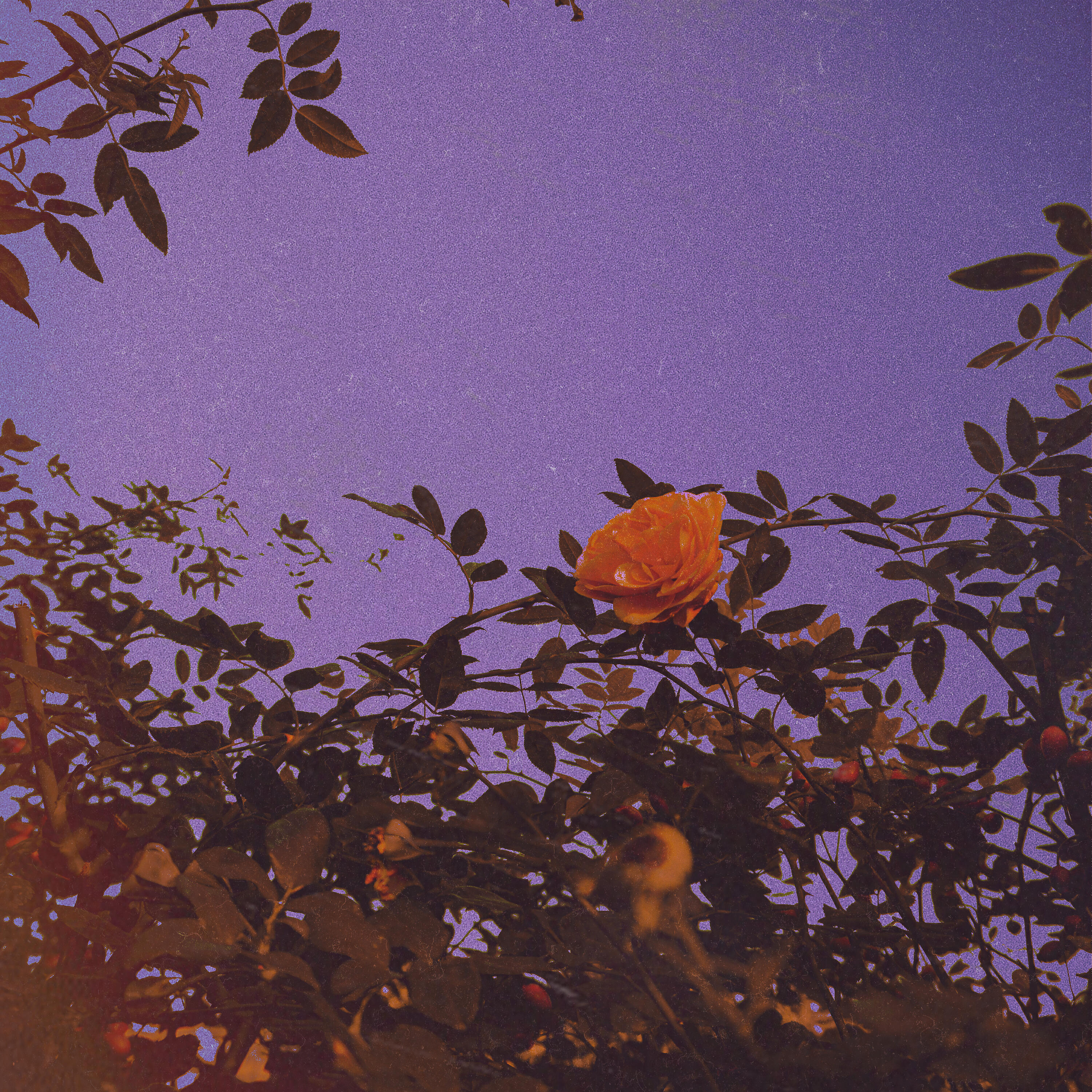 SORAE - Parting Day (with AHYUN)