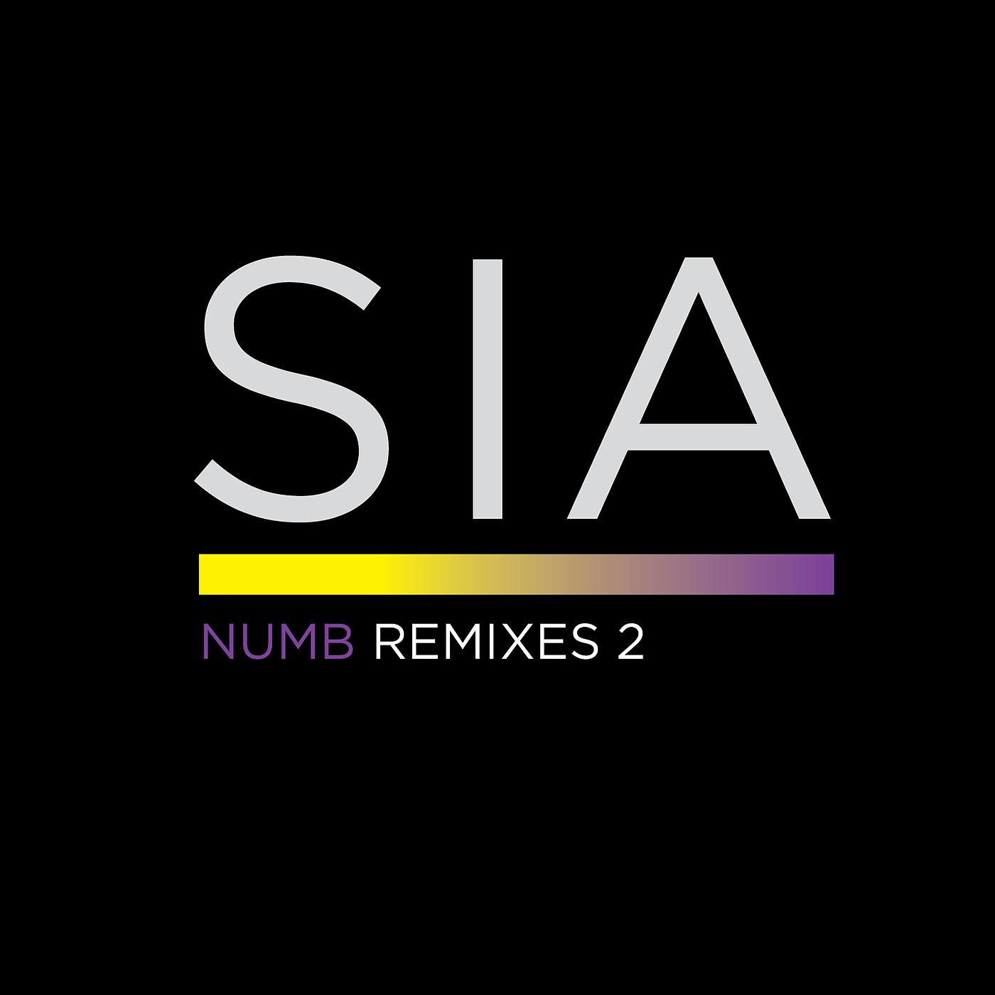 Постер альбома Numb Remixes 2