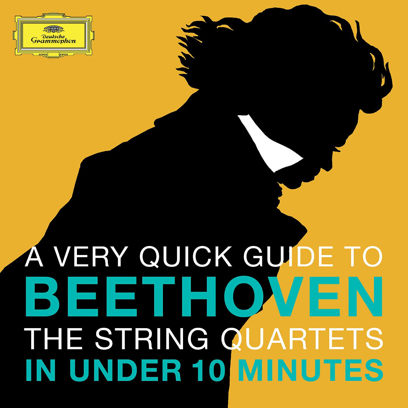 Постер альбома Beethoven: The String Quartets in under 10 minutes