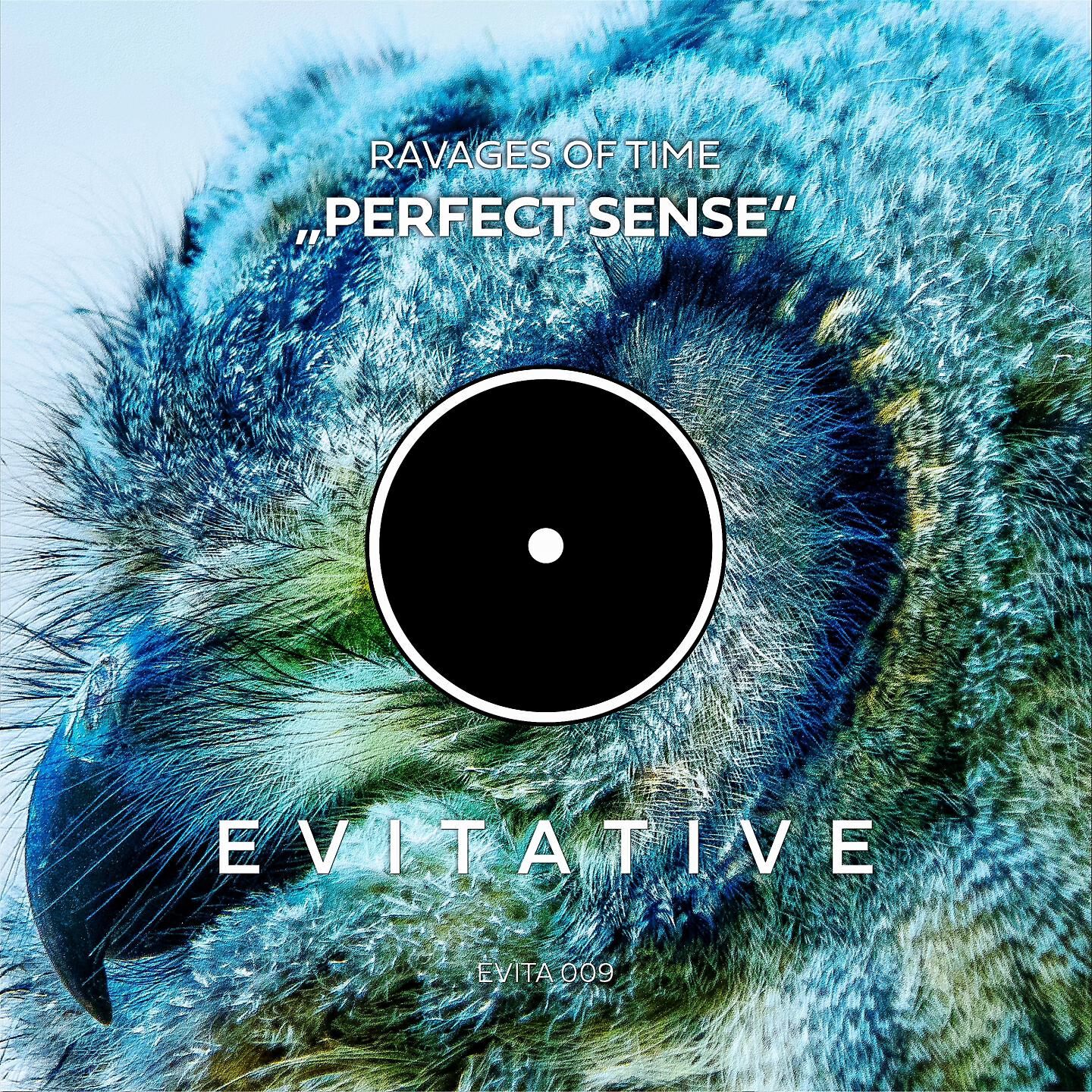 Ravages of Time - Perfect Sense (Radio Edit)