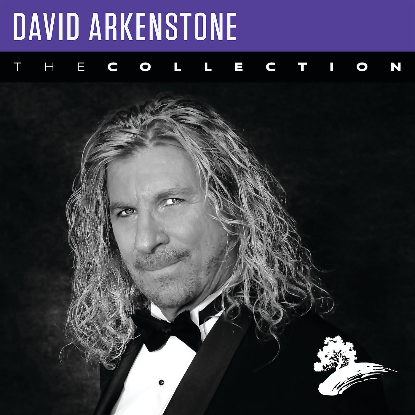 Постер альбома David Arkenstone: The Collection